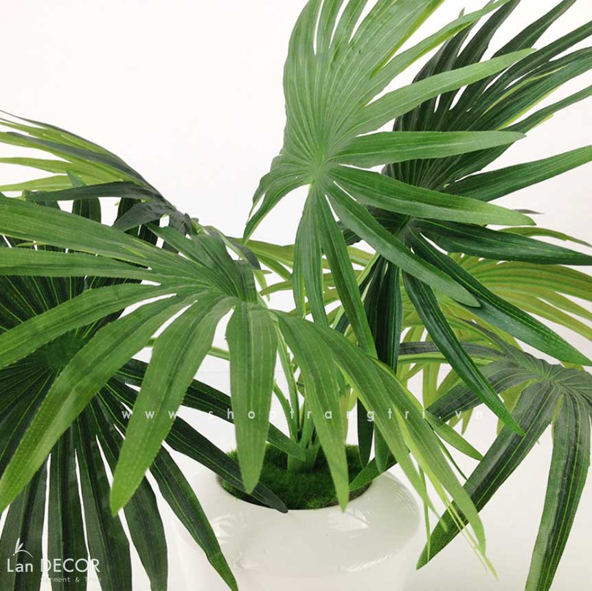 Cành Lá Giả Trang Trí, Cành Cọ Giả Trang trí Tự Nhiên (40cm) - HC414