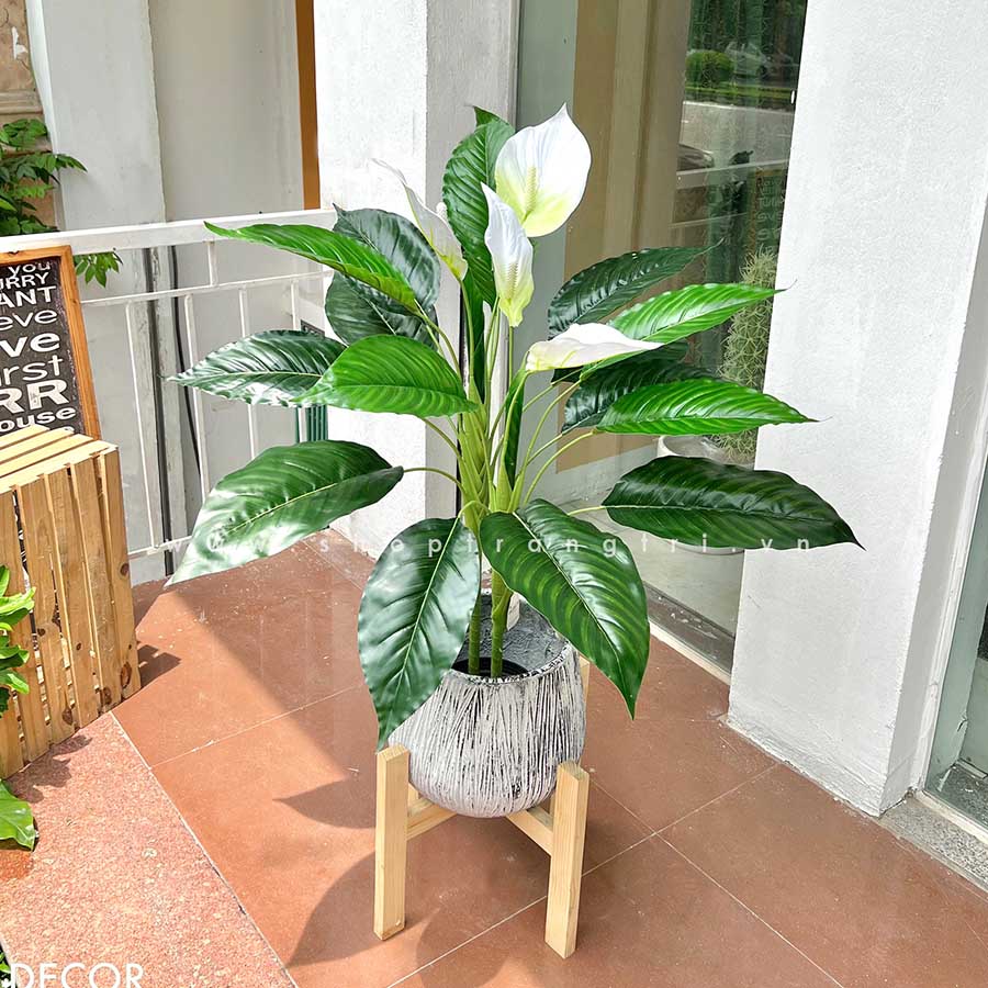 Cây Lan Ý trắng trang trí nhà sang trọng (90cm) - LC2931