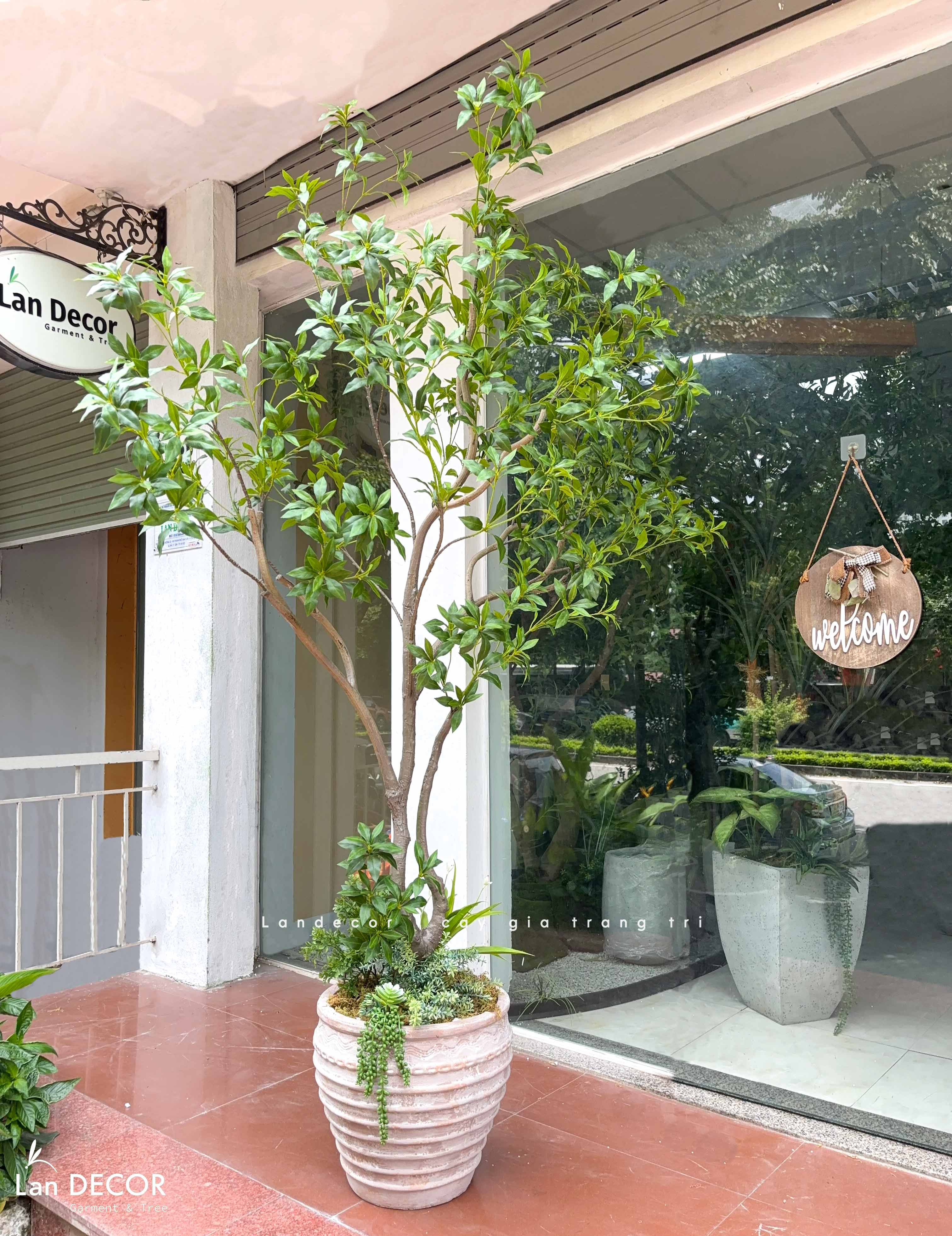 Cây Size Lớn Thiết Kế- Cây Linh Sơn Giả Decor Tiểu Cảnh, Thiết Kế Theo Yêu Cầu (220cm)- CC1378