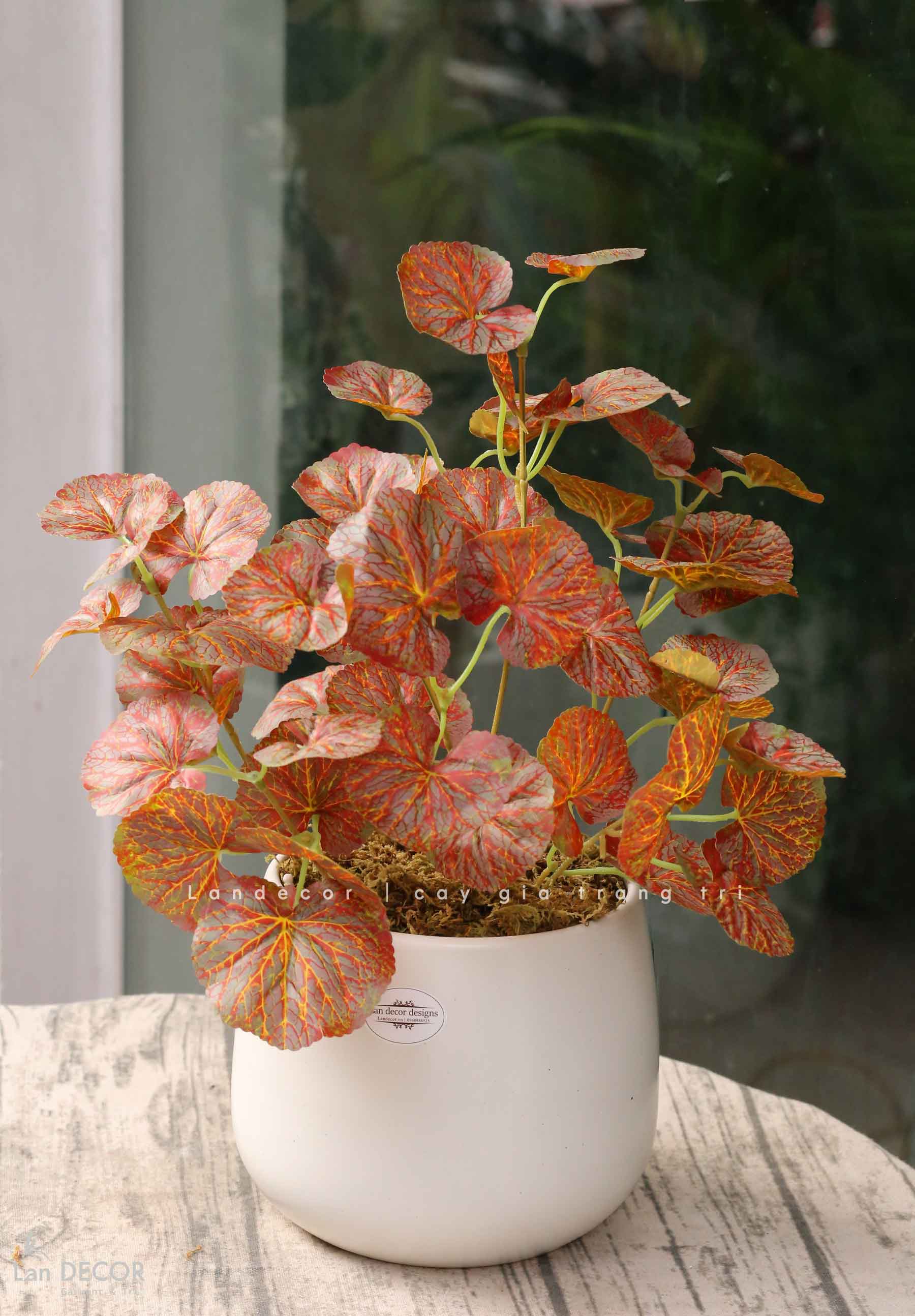 Cây Giả Decor - Cây Sen Cạn Giả Để Bàn Tạo Điểm Nhấn (40cm)- CC1490