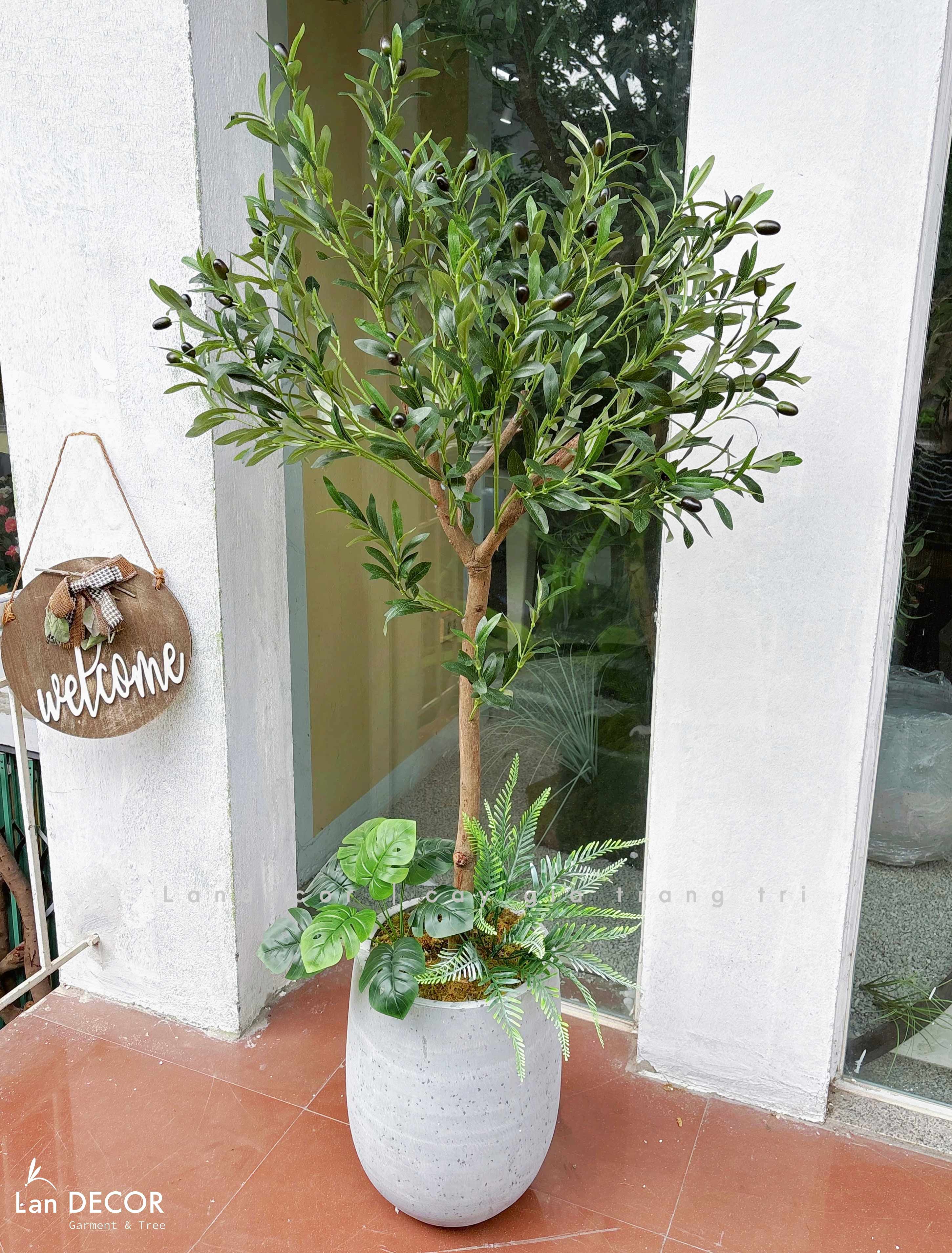 Cây Oliu Giả Decor- Cây Olive Giả Thiết Kế Tiểu Cảnh Xanh Quanh Năm (140cm)- CC1381