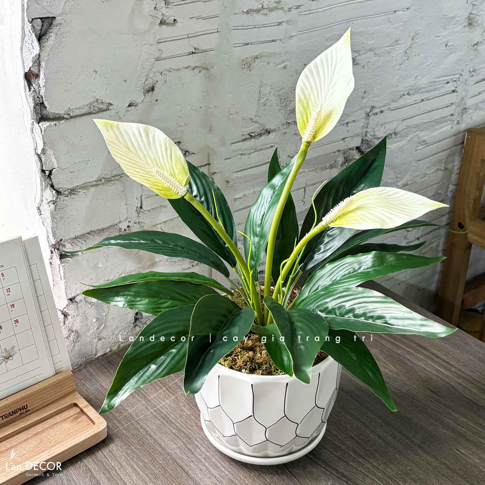 Cây Giả Trang Trí- Chậu Hoa Lan Ý Giả Trang Trí Phòng Khách (50cm)- CC1475