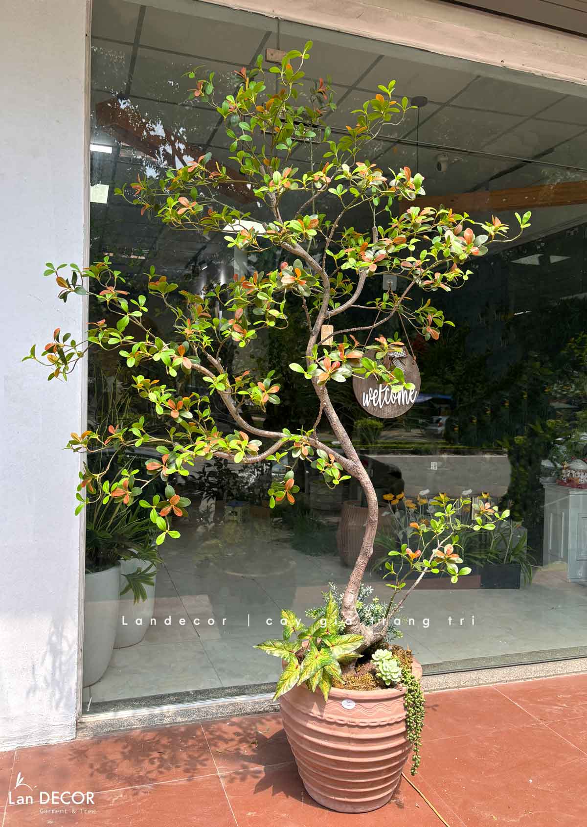 Cây Giả Thiết Kế - Cây Bàng Nhật Giả Thiết Kế Tiểu Cảnh- CC1492