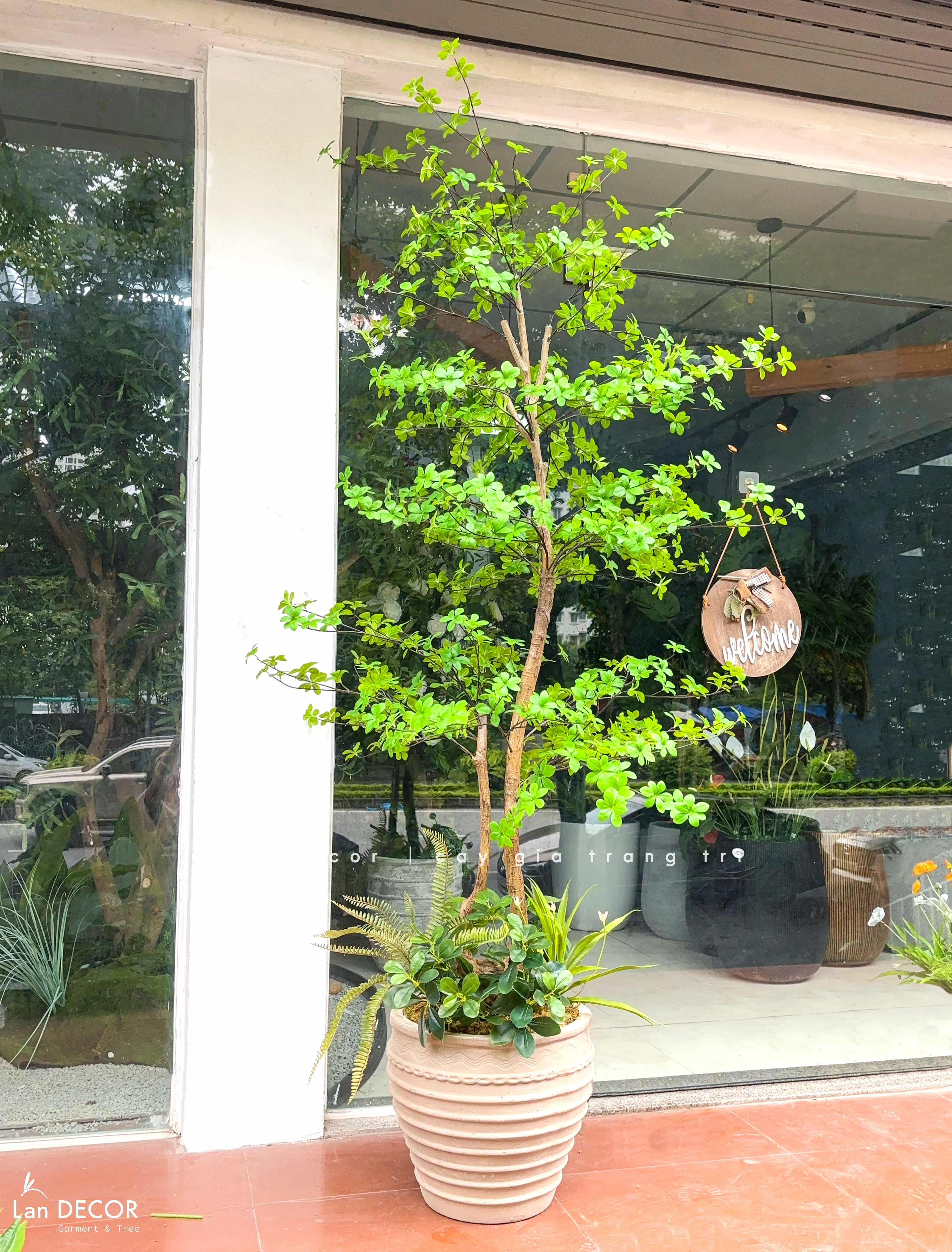 Cây Giả- Cây Thạch Nam Giả Thiết Kế Dáng Phân Tầng Độc Đáo, Decor Không Gian Hiện Đại (230cm)- CC1361