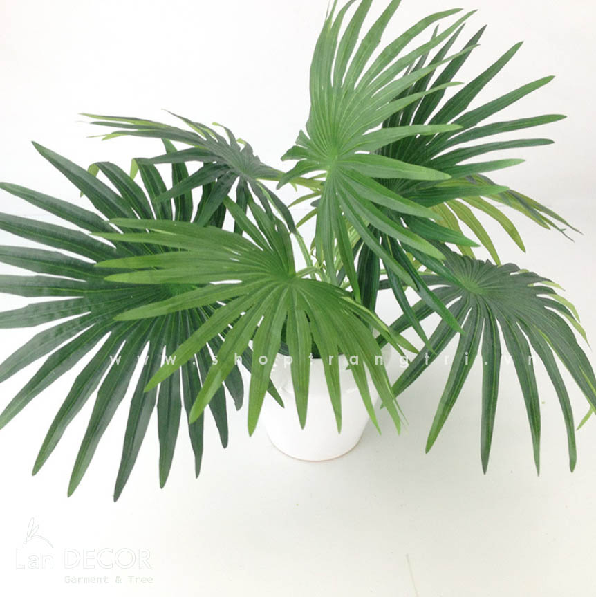 Cành Lá Giả Trang Trí, Cành Cọ Giả Trang trí Tự Nhiên (40cm) - HC414