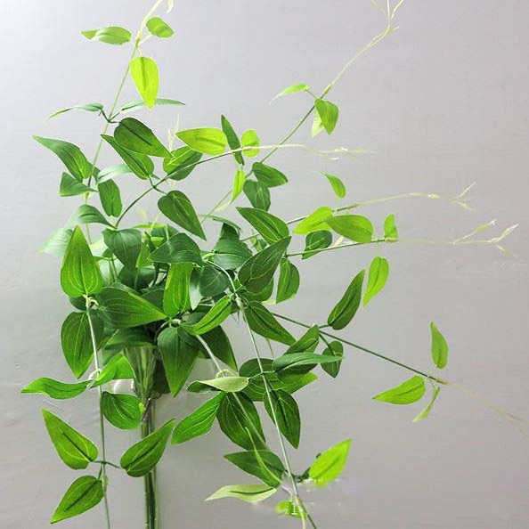 Cành Lá Giả Decor, Dây Kim Ngân Trang Trí Tiểu Cảnh- HC410