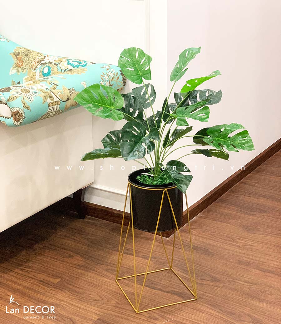 CHẬU CÂY LÁ RÙA TRANG TRÍ KHÔNG GIAN XANH (60cm) - LC2063-6