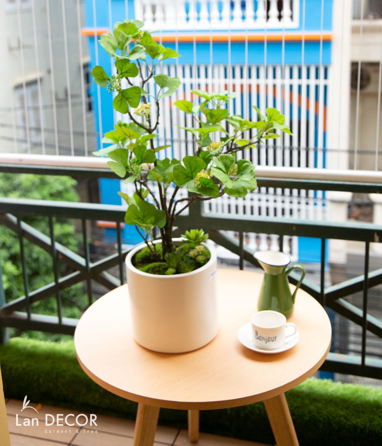 CC051 - Chậu ngân hạnh xanh (nhỏ)