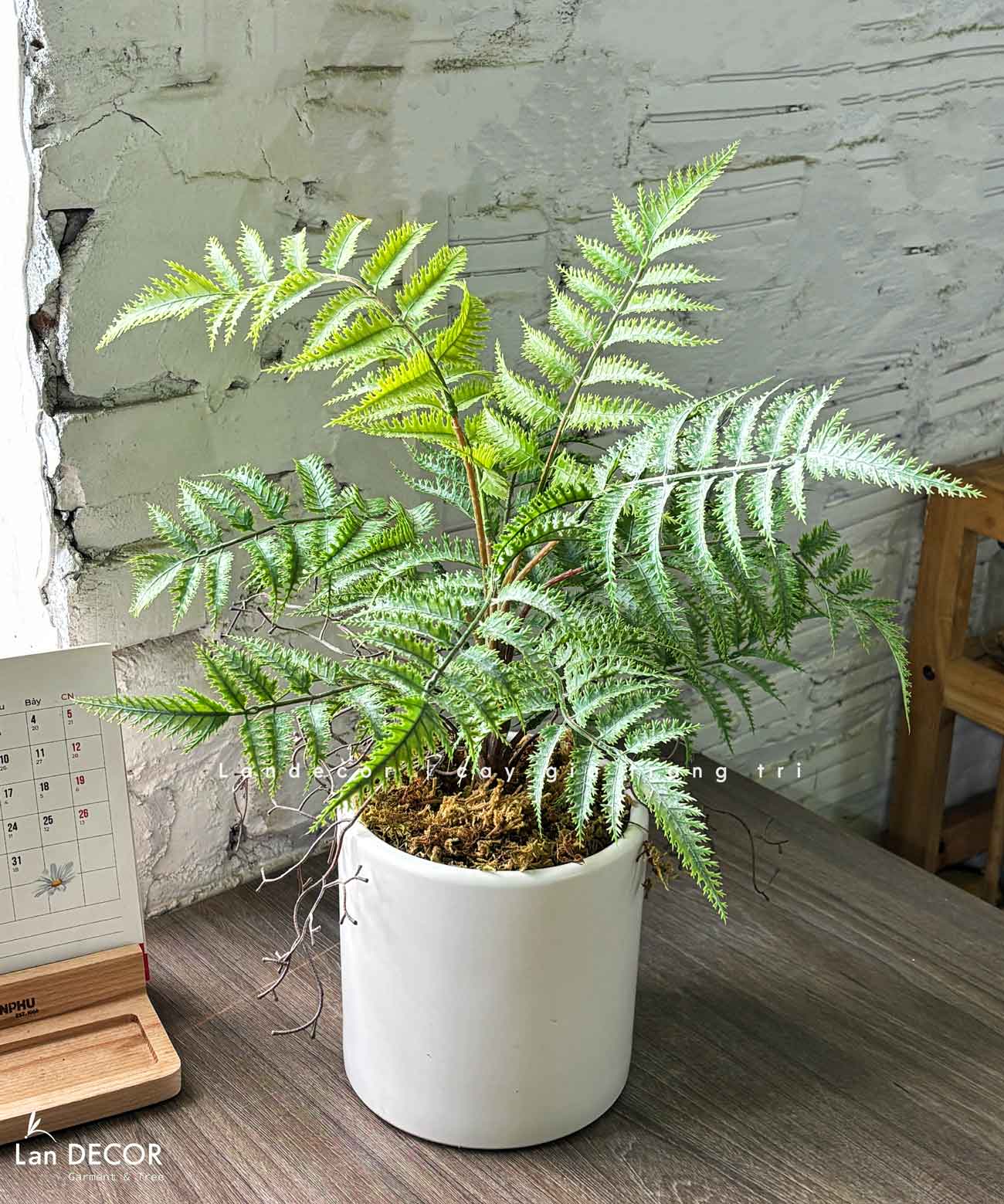 Cây Giả Để Bàn- Chậu Cây Dương Xỉ Răng Cưa Giả Decor Không Gian Xanh (45cm)- CC1464