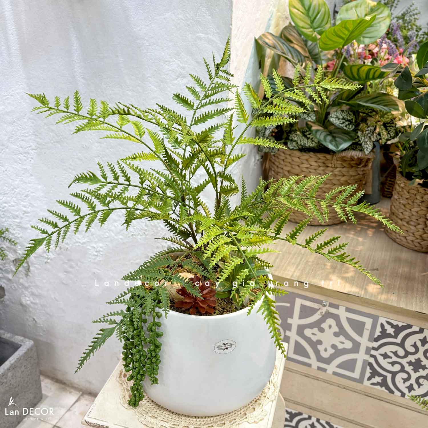 Cây Giả Decor- Cây Dương Xỉ Giả Mix Tiểu Cảnh Sen Đá Trang Trí Không Gian (55cm)- CC1468