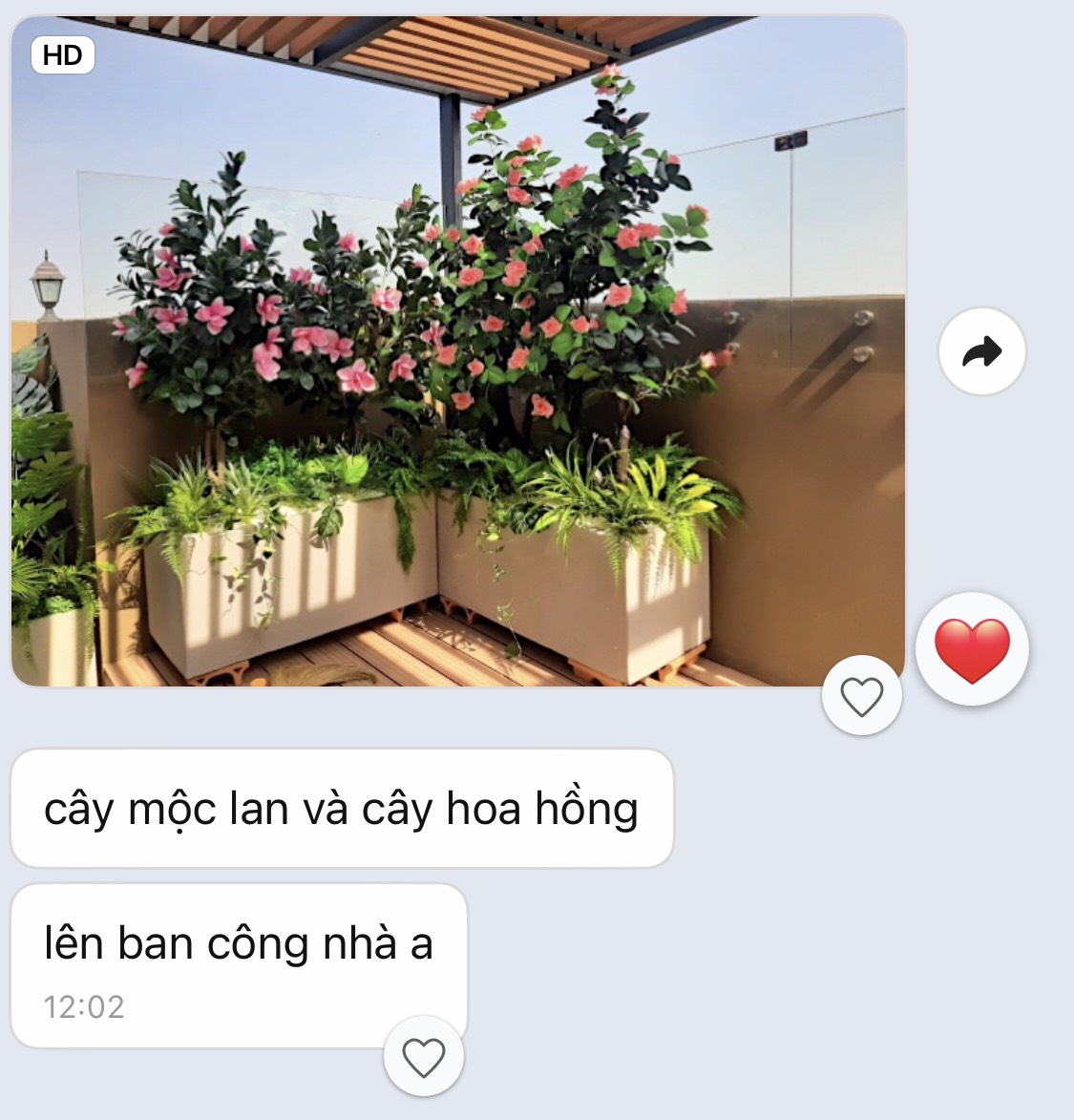 Chậu hoa mộc lan trang trí không gian hiện đại sang trọng (1,5m) - CG008