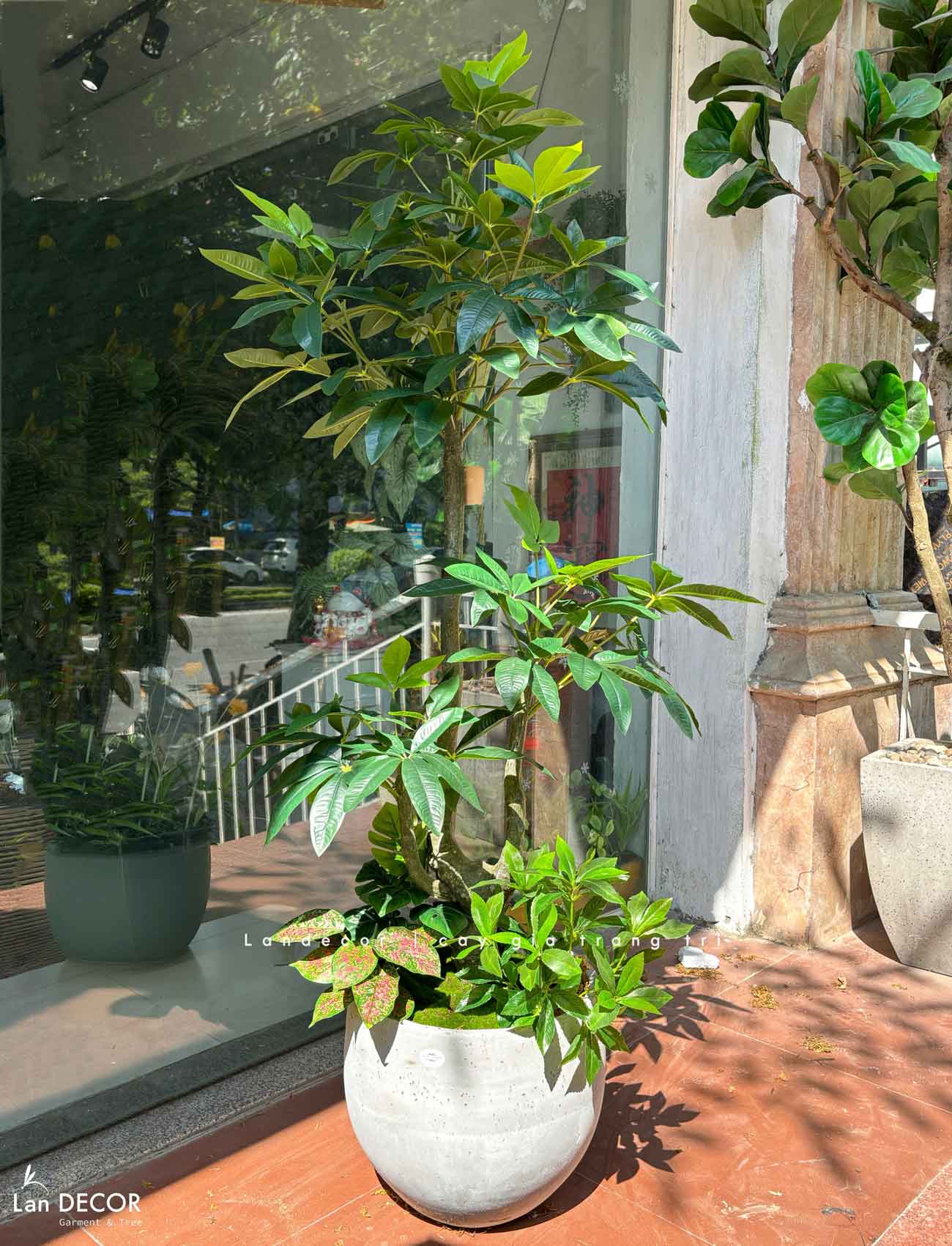 Cây Giả Decor- Chậu Cây Kim Ngân Giả Decor Phòng Khách Căn Hộ- CC1496