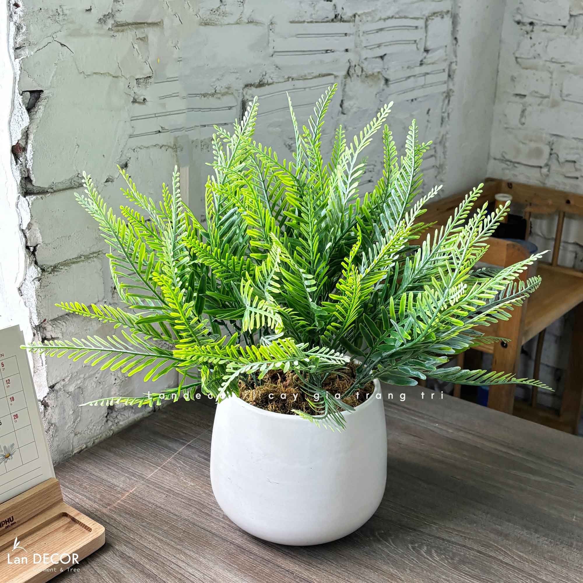 Cây Giả Trang Trí- Chậu Cây Dương Xỉ Giả Trang Trí Để Bàn Tự Nhiên (45cm)- CC1463