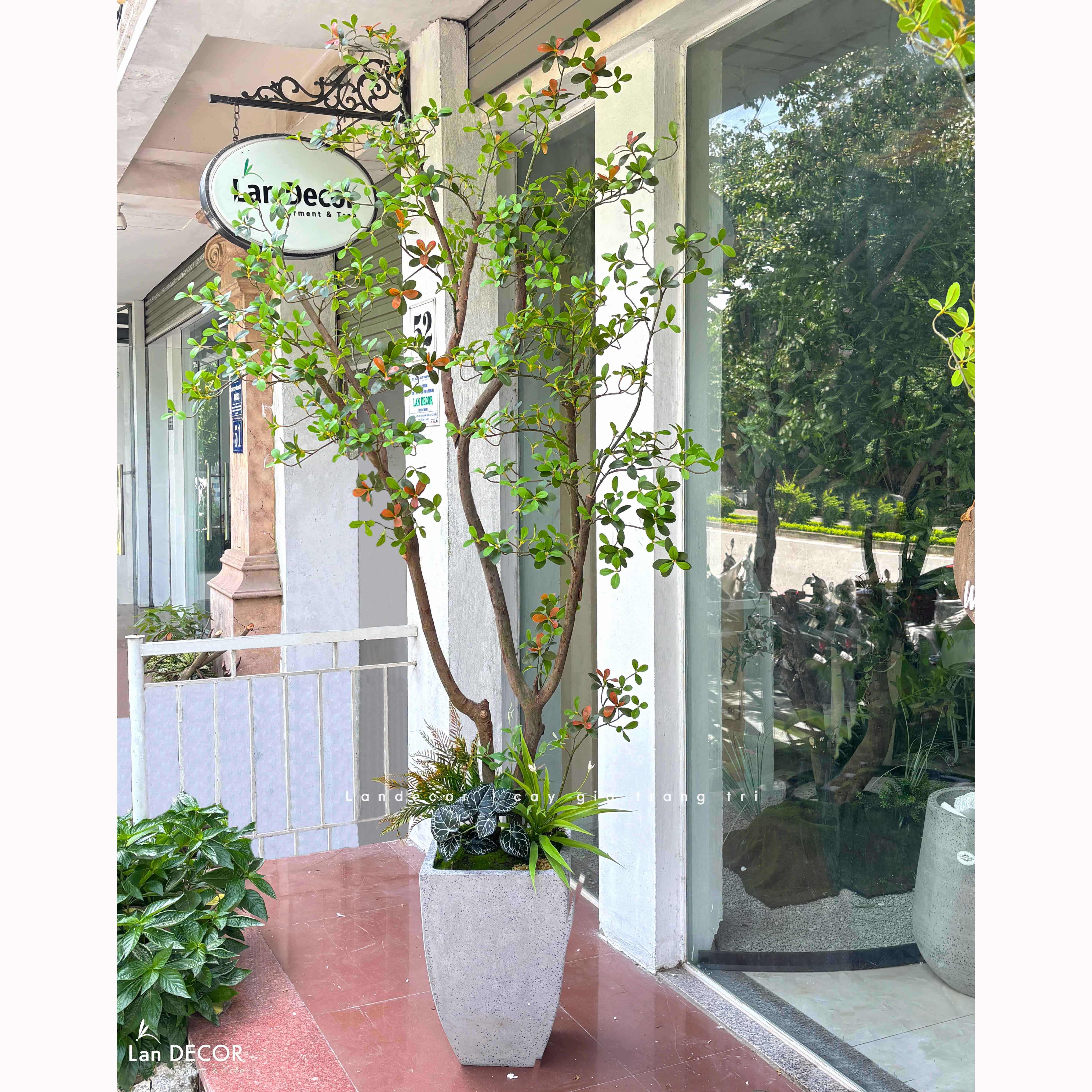 Cây Giả- Cây Lá Đỏ Giả Thiết Kế Tiểu Cảnh Độc Đáo, Trưng Bày Không Gian Mới Lạ (230cm)- CC1388