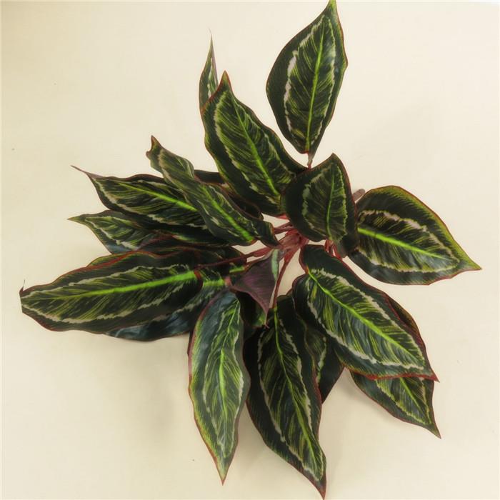 Lá đuôi công - HC593