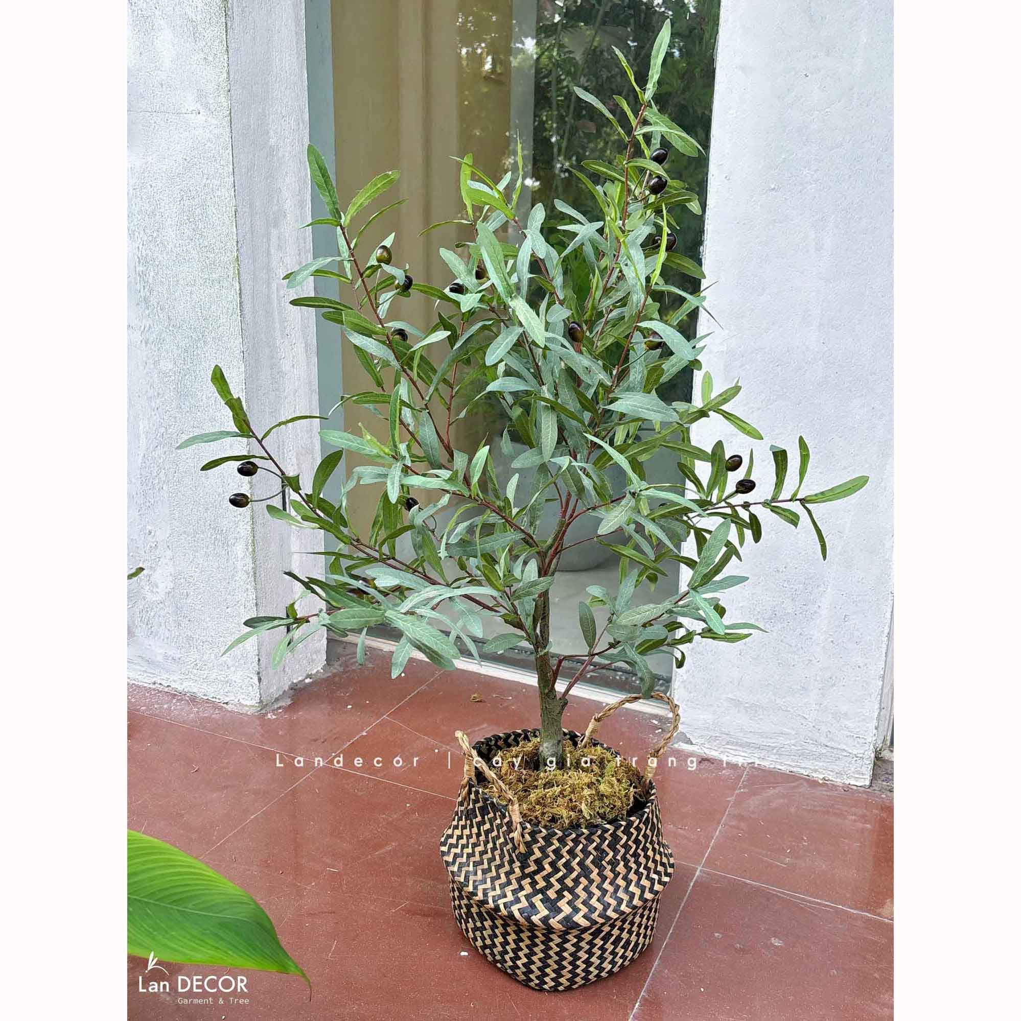 Cây Giả Trang Trí- Cây Olive Giả Trang Trí Tiểu Cảnh Nhỏ Xinh- CC1440