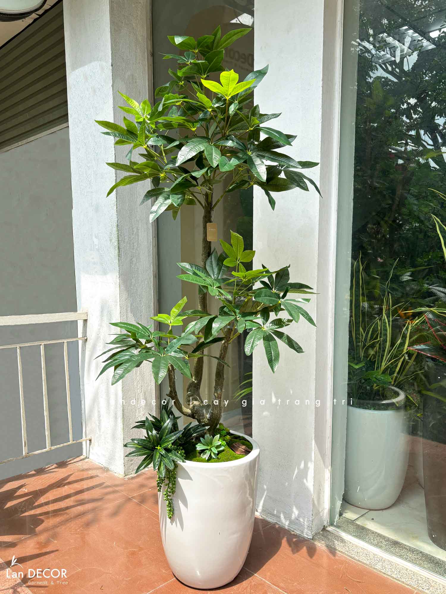 Cây Giả Decor- Chậu Cây Kim Ngân Giả Decor Phòng Khách Căn Hộ- CC1496