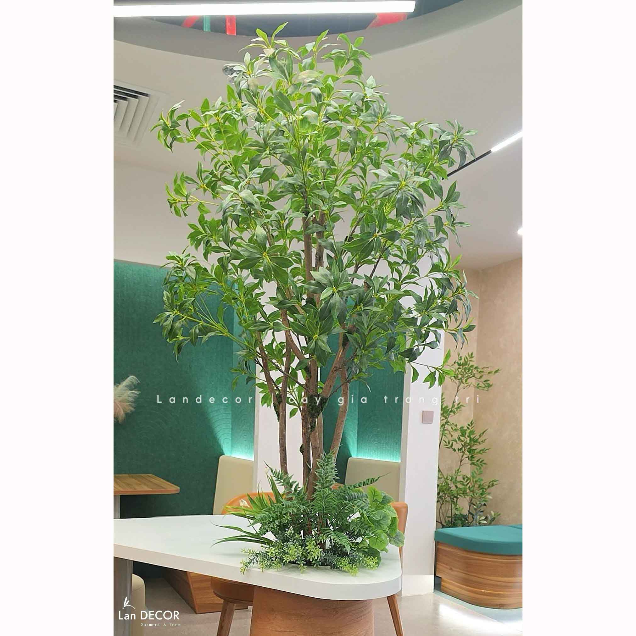 Cây Giả Thiết Kế- Cây Linh Sơn Giả Trang Trí Văn Phòng Xanh (200cm) - CC1330