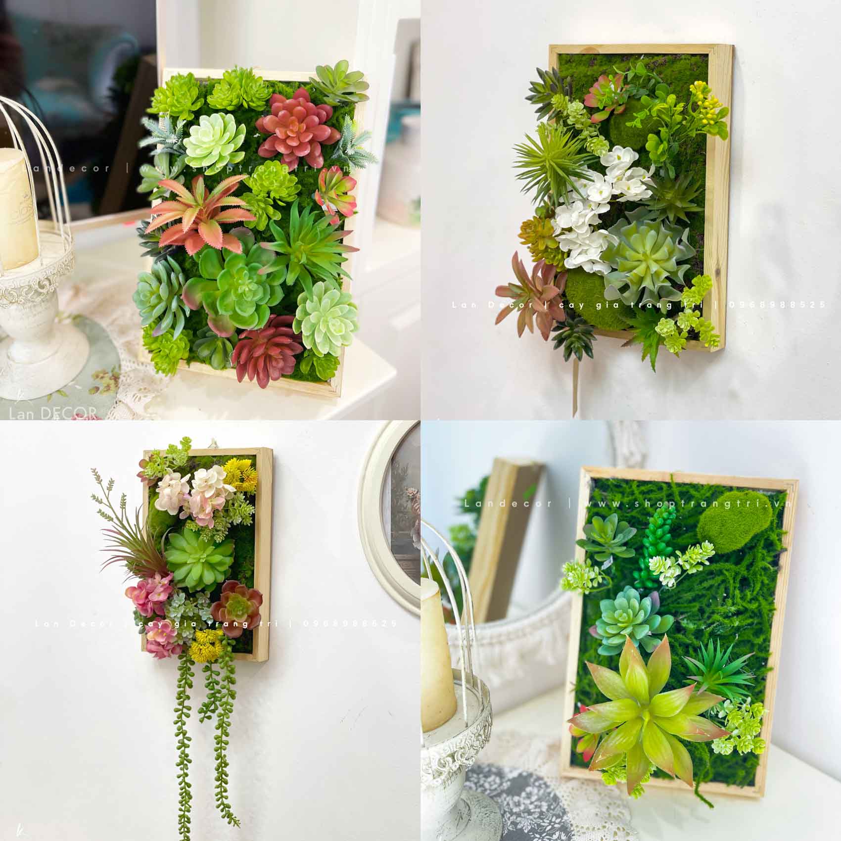 Khung tranh cây, sen đá treo tường độc đáo, tự nhiên Tổng Kho Sỉ Cây ...