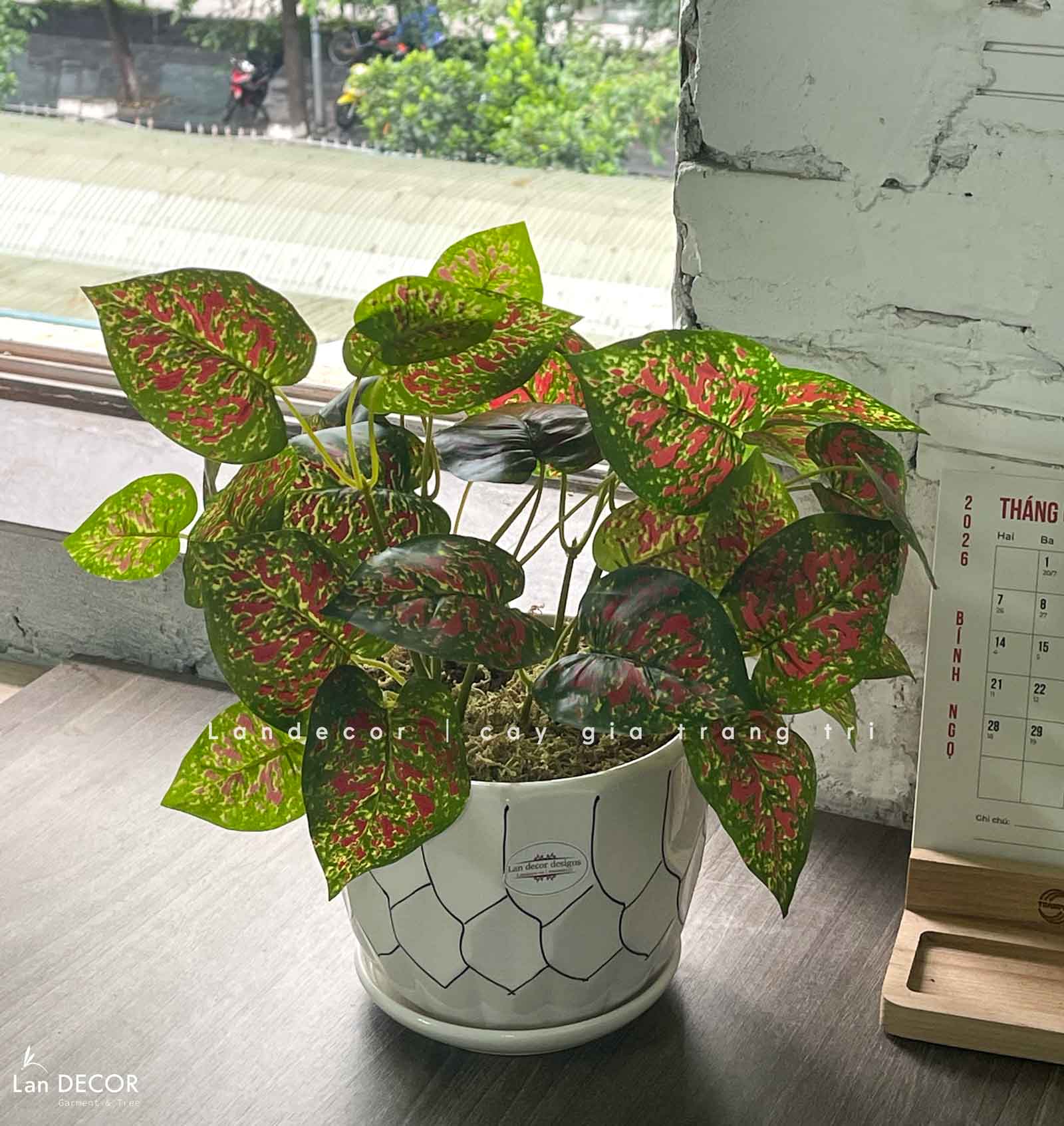 Cây Giả Decor- Cây Giả Để Bàn Trang Trí (45cm)- CC1467