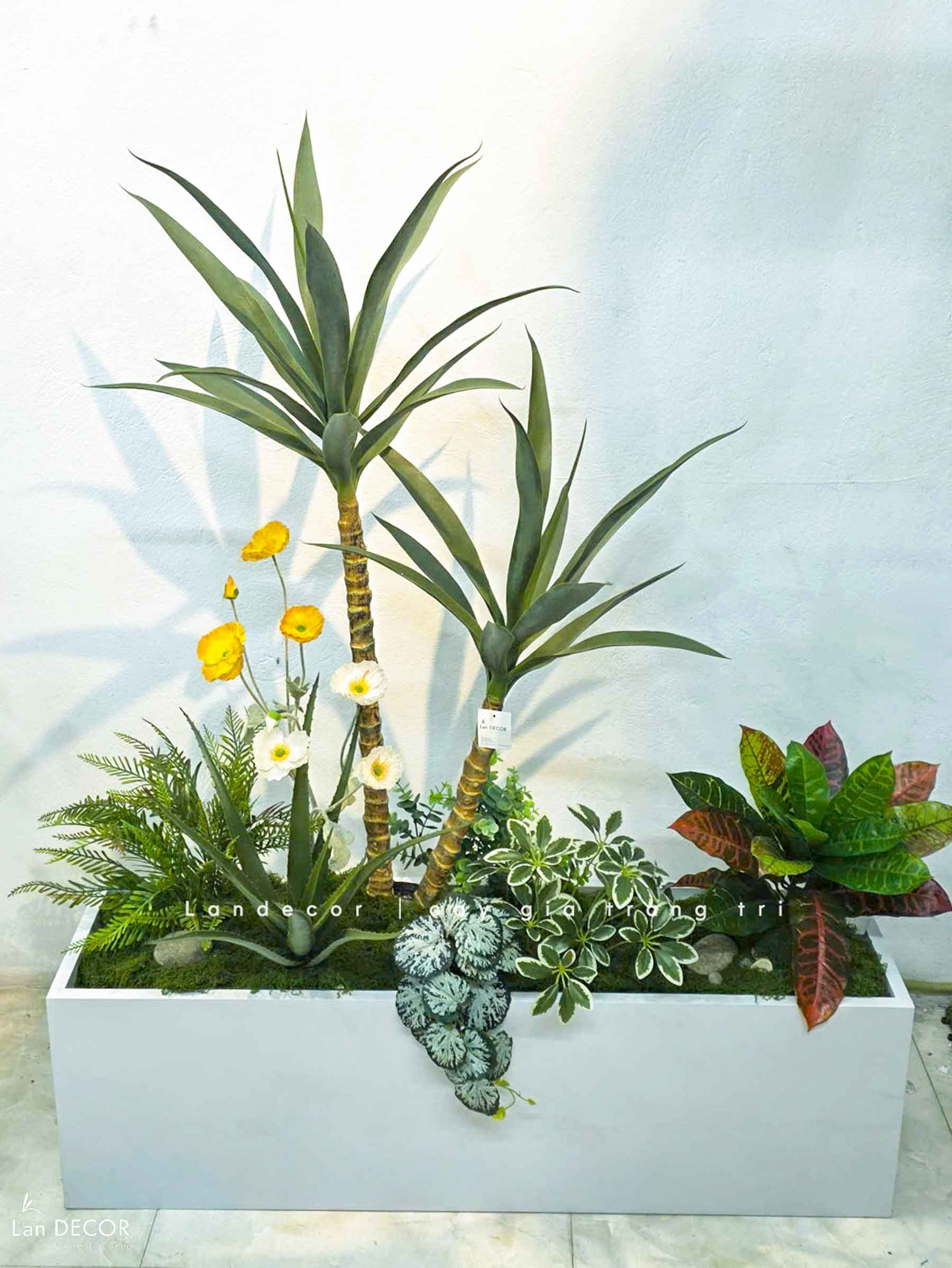 Bồn Cây Trang Trí - Bồn Tiểu Cảnh Cây Yucca Trang Trí Độc Đáo (110x45x130cm)- BC304