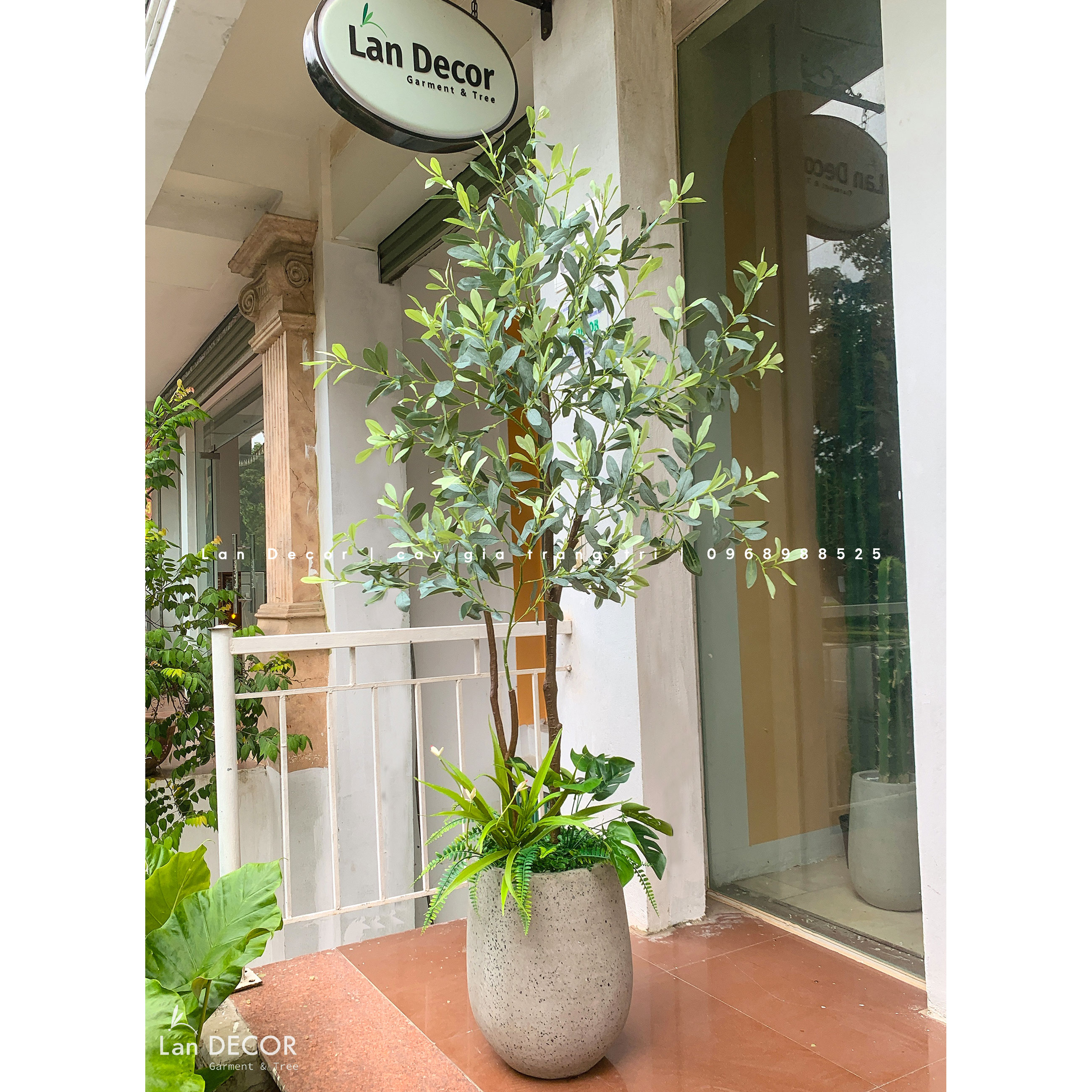 Cây Giả Trang Trí - Cây Cà Phê Giả Trang Trí Cửa Hiệu (160cm)- CC1382