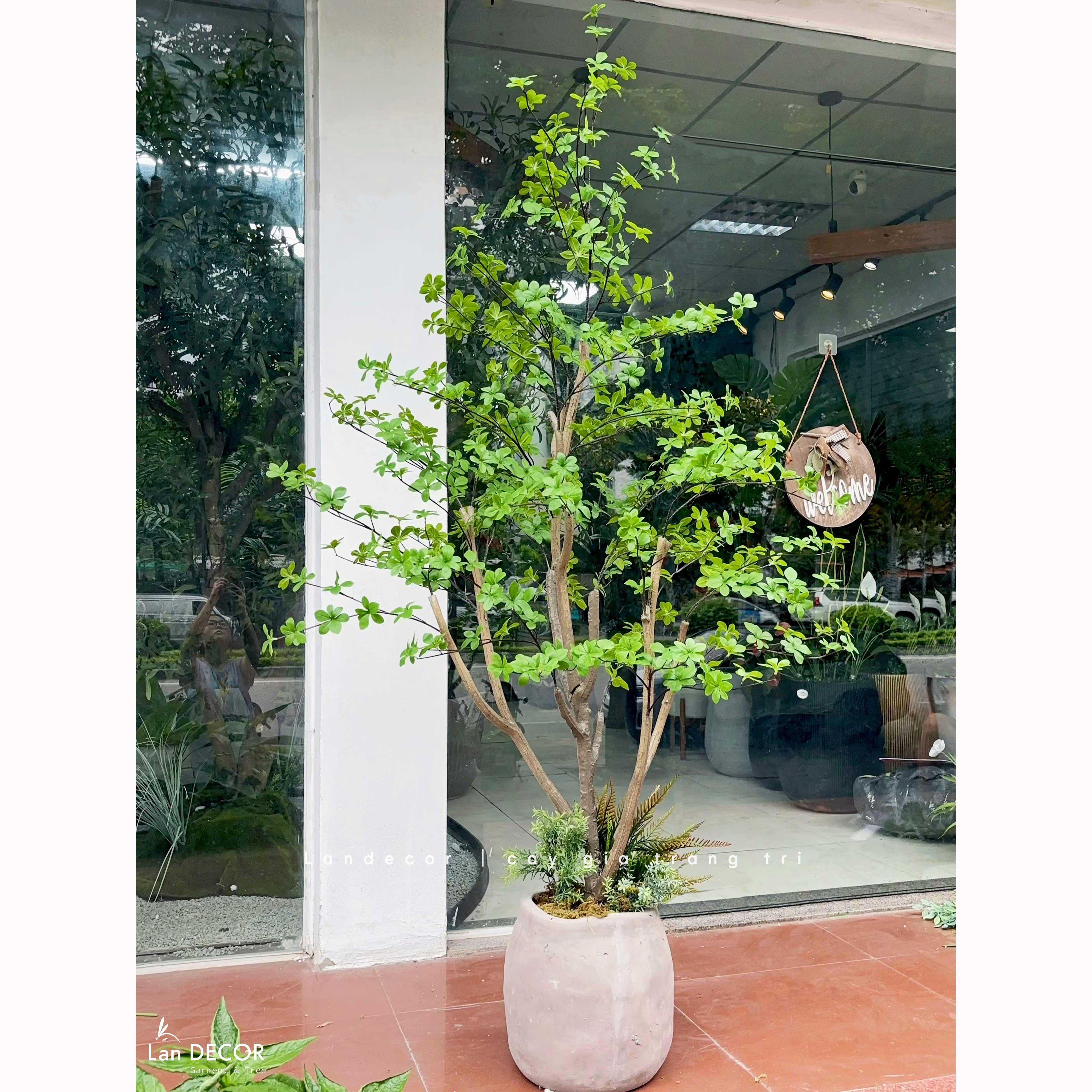 Cây Cảnh Giả- Cây Thạch Nam Giả Trang Trí Tiểu Cảnh  (190cm)- CC1369
