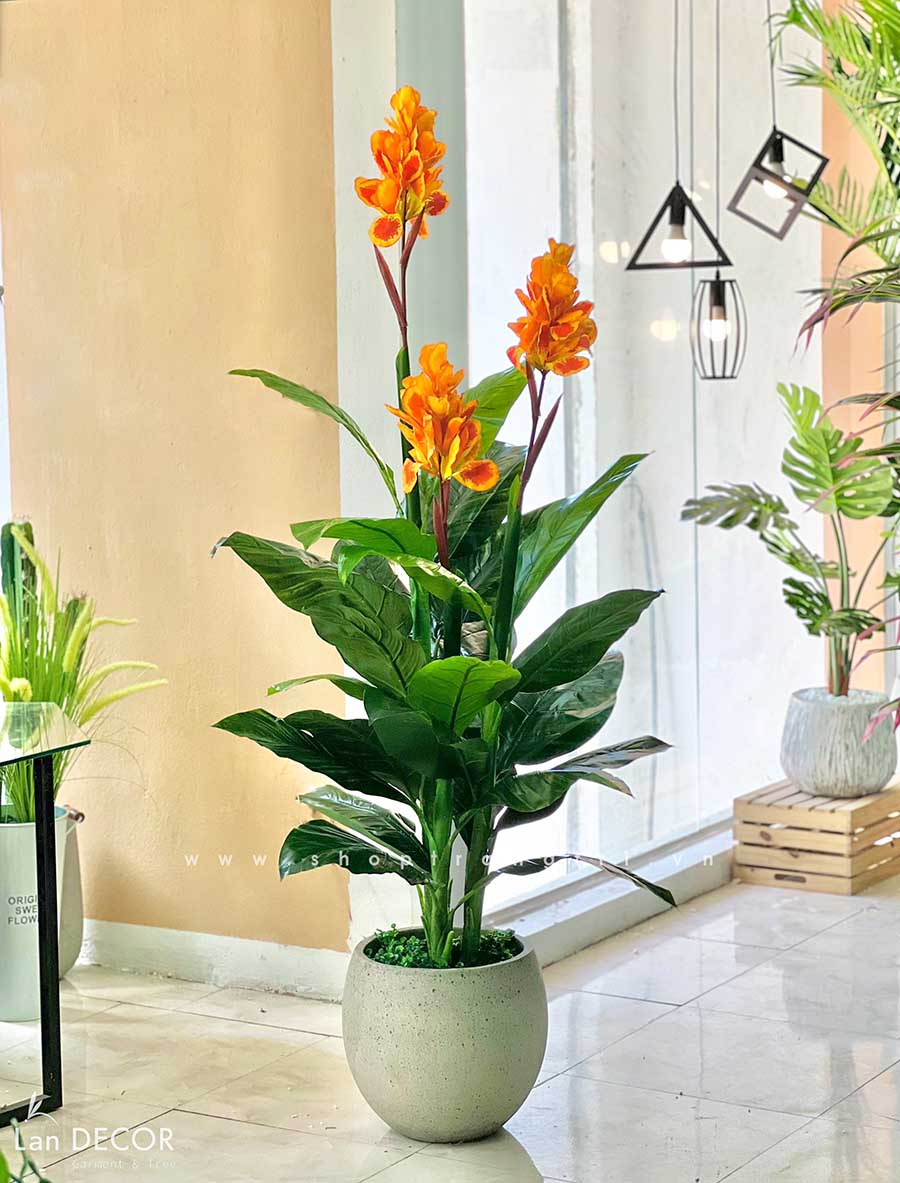 Cây tài lộc hoa trang trí nhà sang trọng 165cm - LC1782