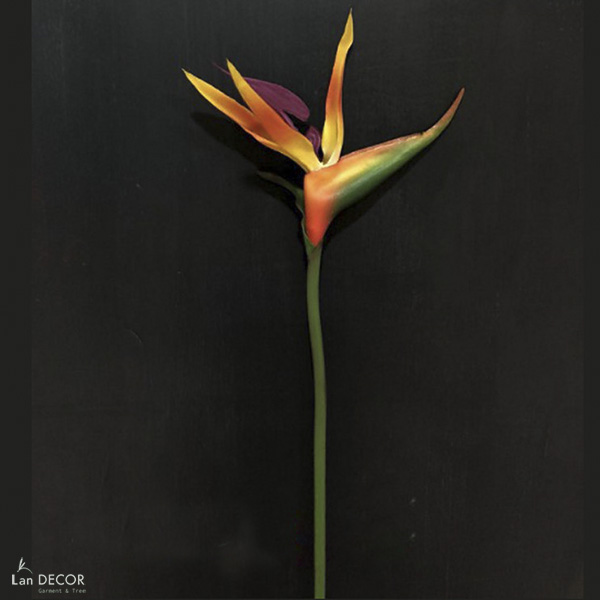CÀNH THIÊN ĐIỂU ĐẸP LAN DECOR 60cm- HC1024-3