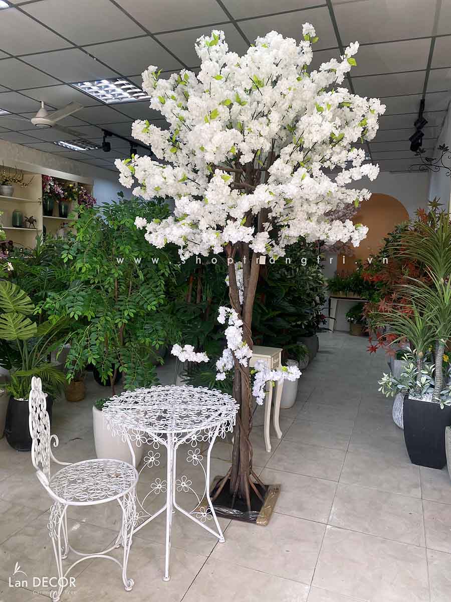 Cây anh đào (250cm) - LC2760-1