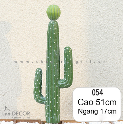 CÂY XƯƠNG RỒNG  LAN DECOR  - HC1147