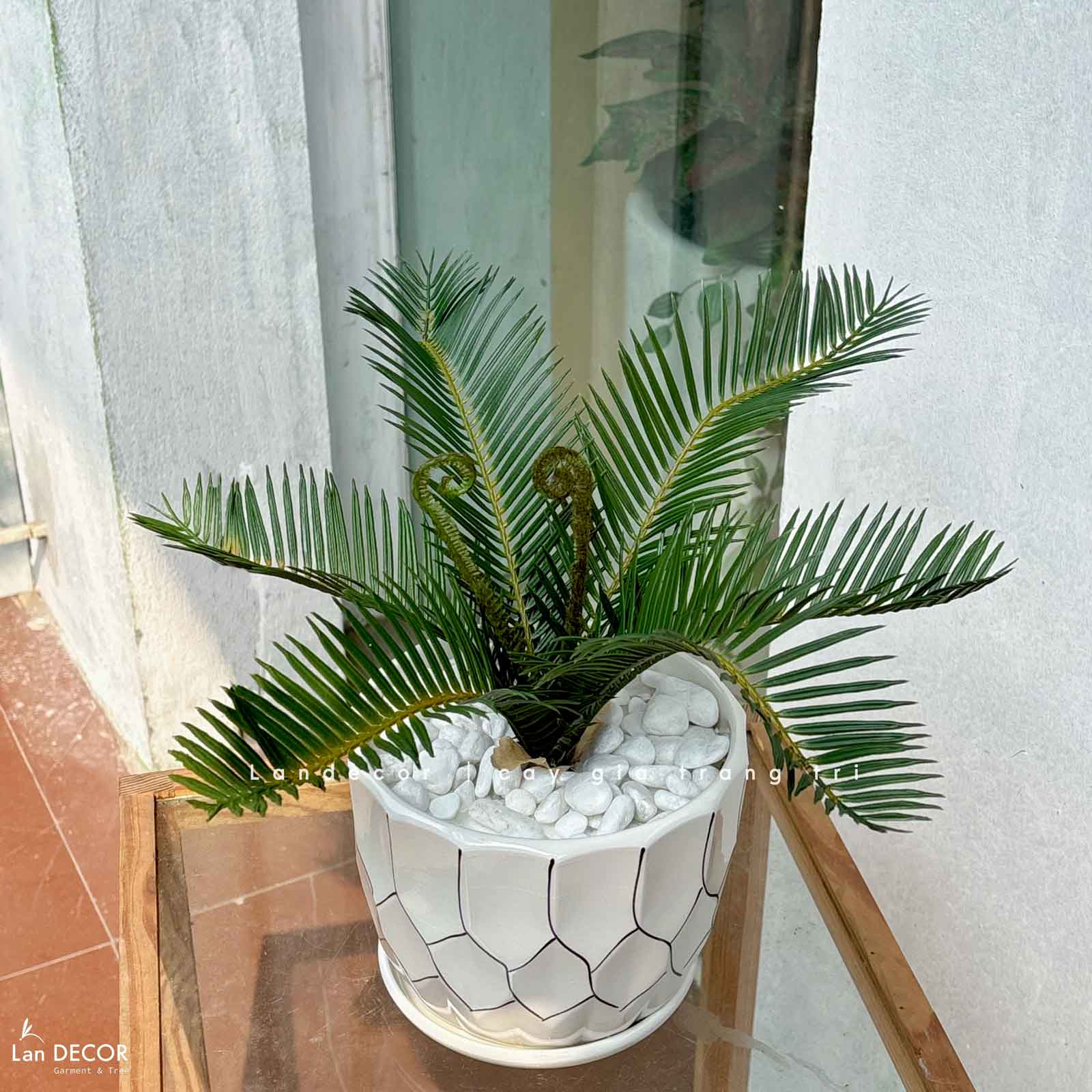 Cây Giả Để Bàn- Chậu Cây Vạn Tuế Giả Trang Trí Nội Thất (45cm)- CC1478