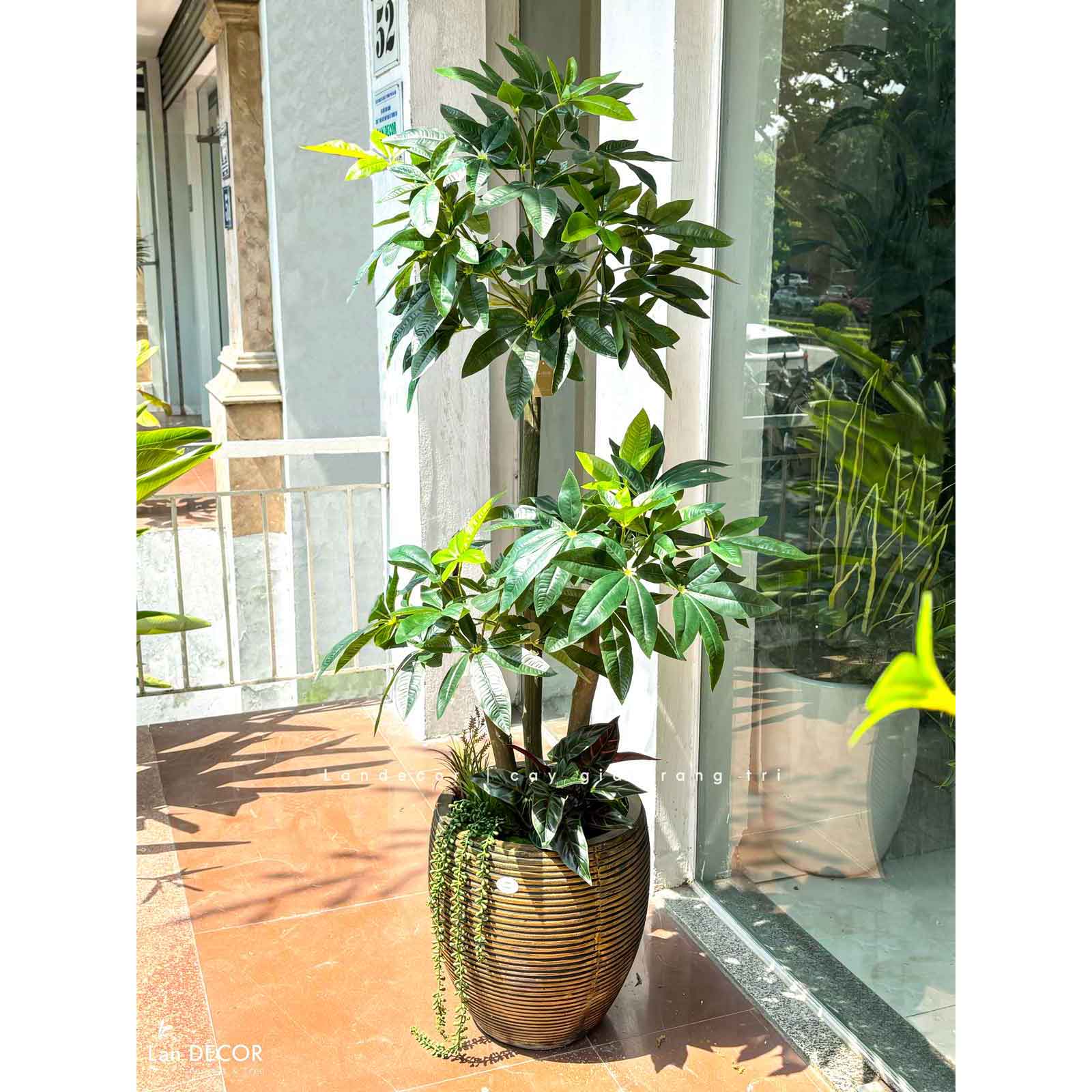 Cây Giả Trang Trí- Cây Kim Ngân Giả Trang Trí Nội Thất Văn Phòng- CC1495