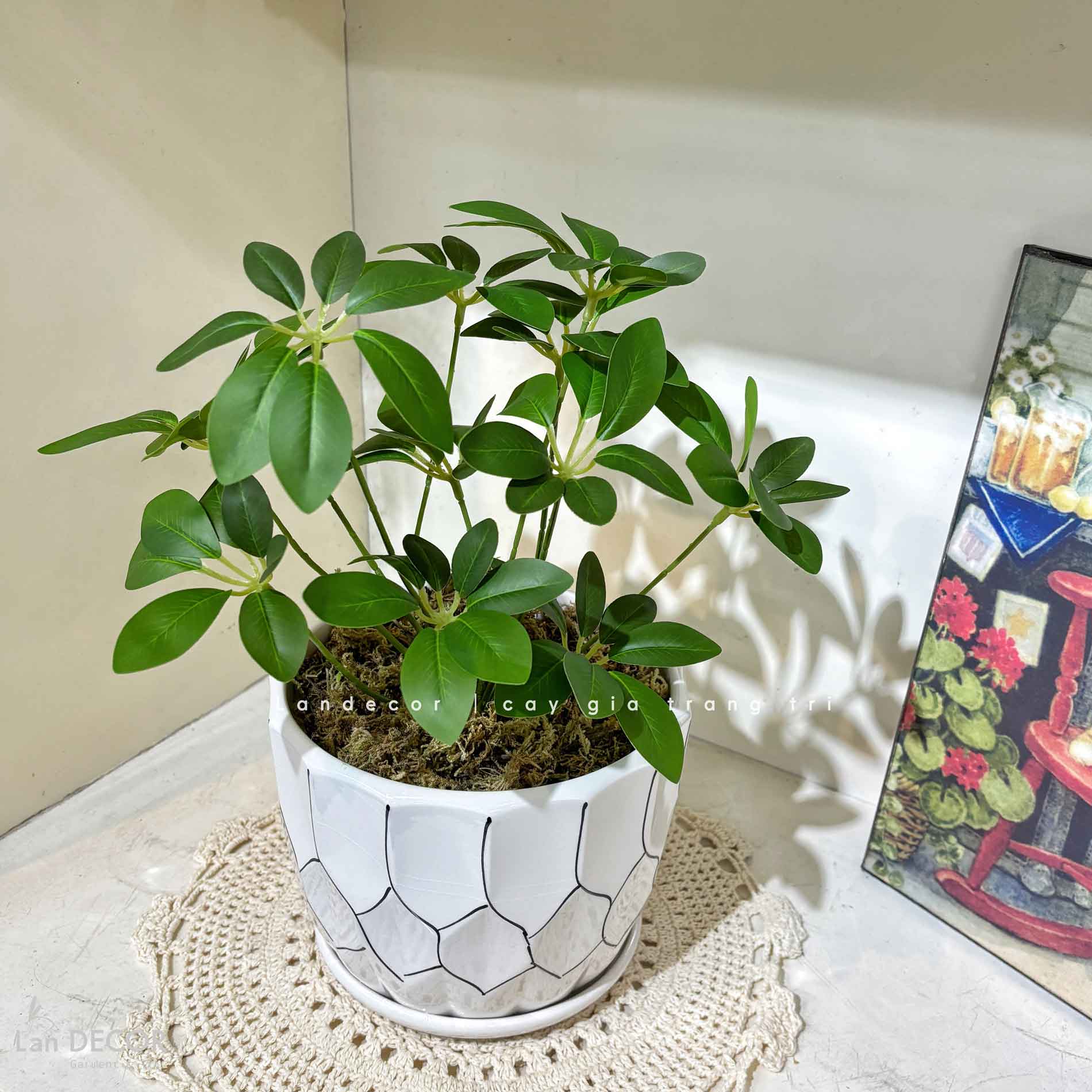 Cây Giả Để Bàn- Chậu Cây Ngũ Da Bì Giả Trang Trí Bàn Làm Việc Xanh (40cm)- CC1474