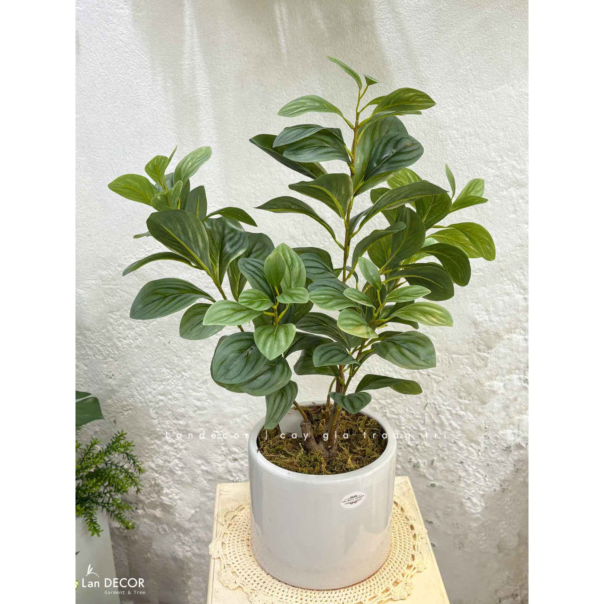 Cây Giả Trang Trí- Cây Trường Sinh Giả Trang Trí Đẹp Tự Nhiên (50cm)- CC1499