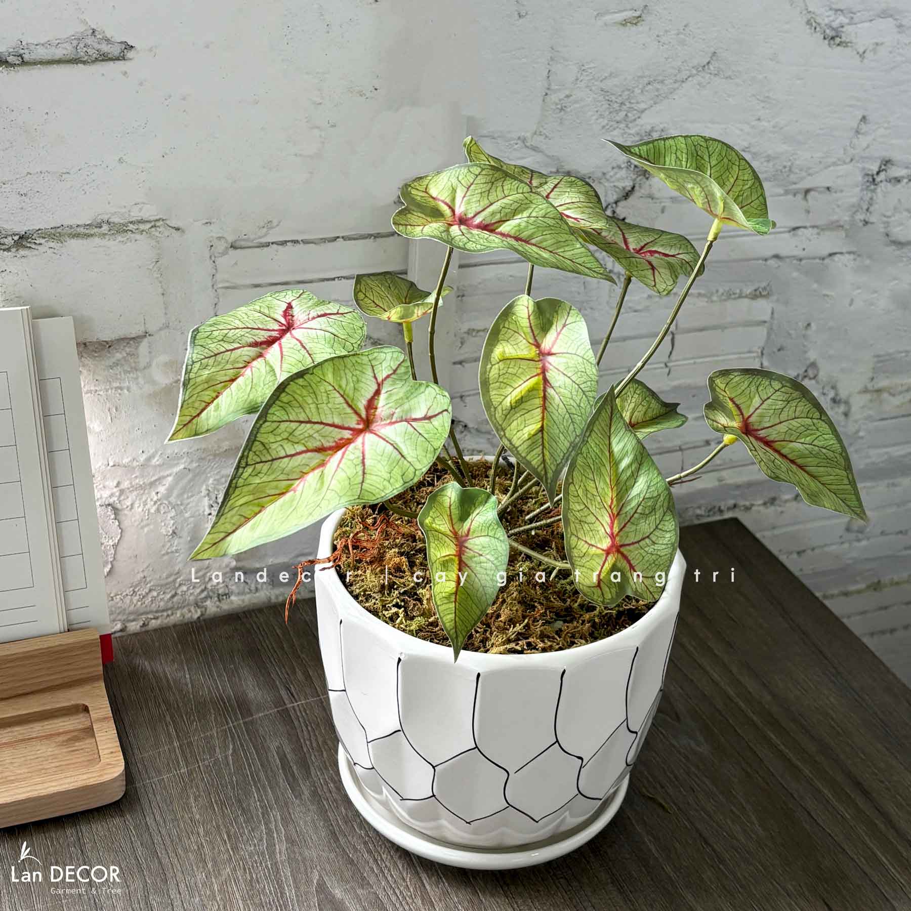 Cây Giả Để Bàn- Chậu Cây Lá Khoai Giả Decor (40cm)- CC1473