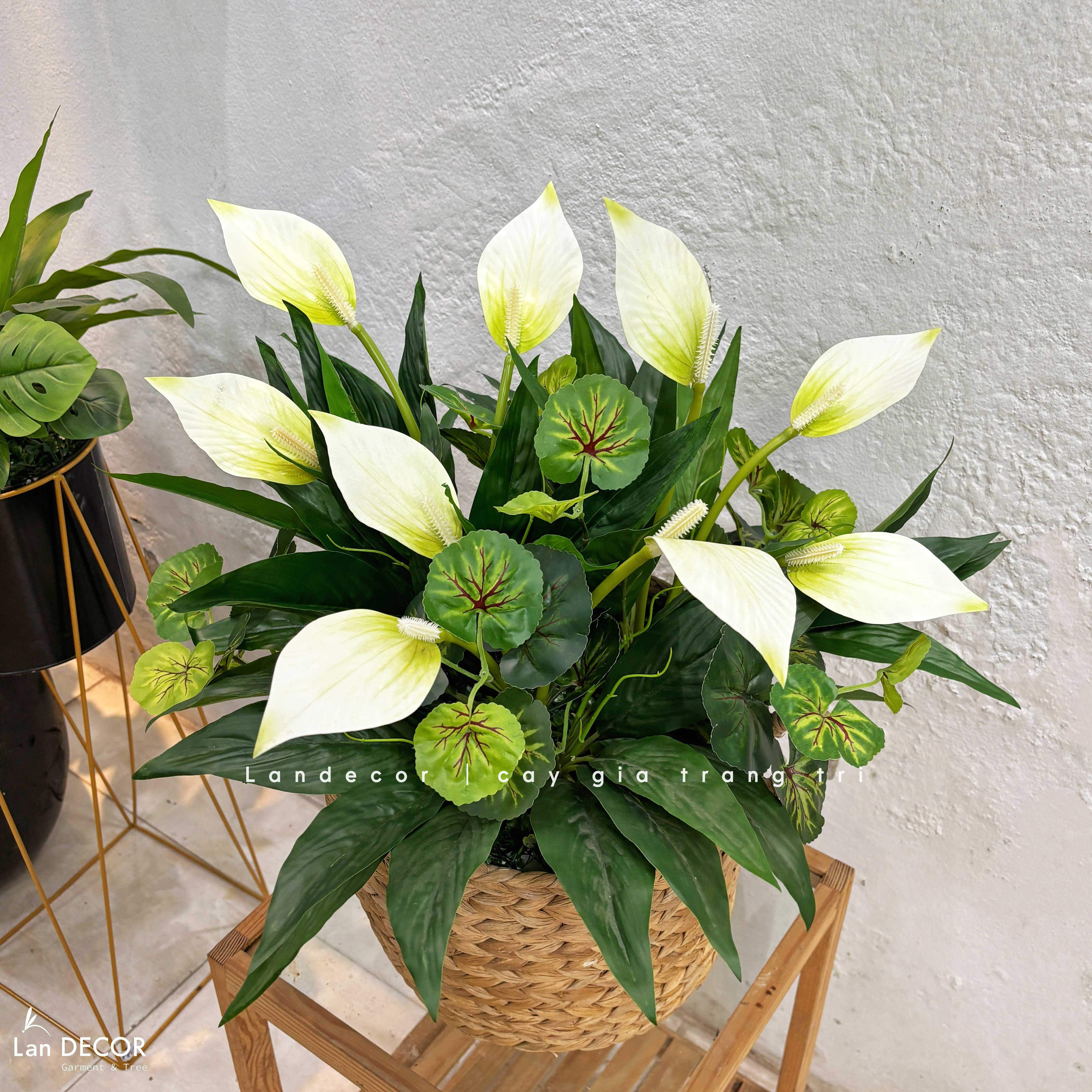 Giỏ Cây Giả Decor- Giỏ Hoa Lan Ý Trắng Thiết Kế Tiểu Cảnh Cửa Hiệu (60cm)- CC1351