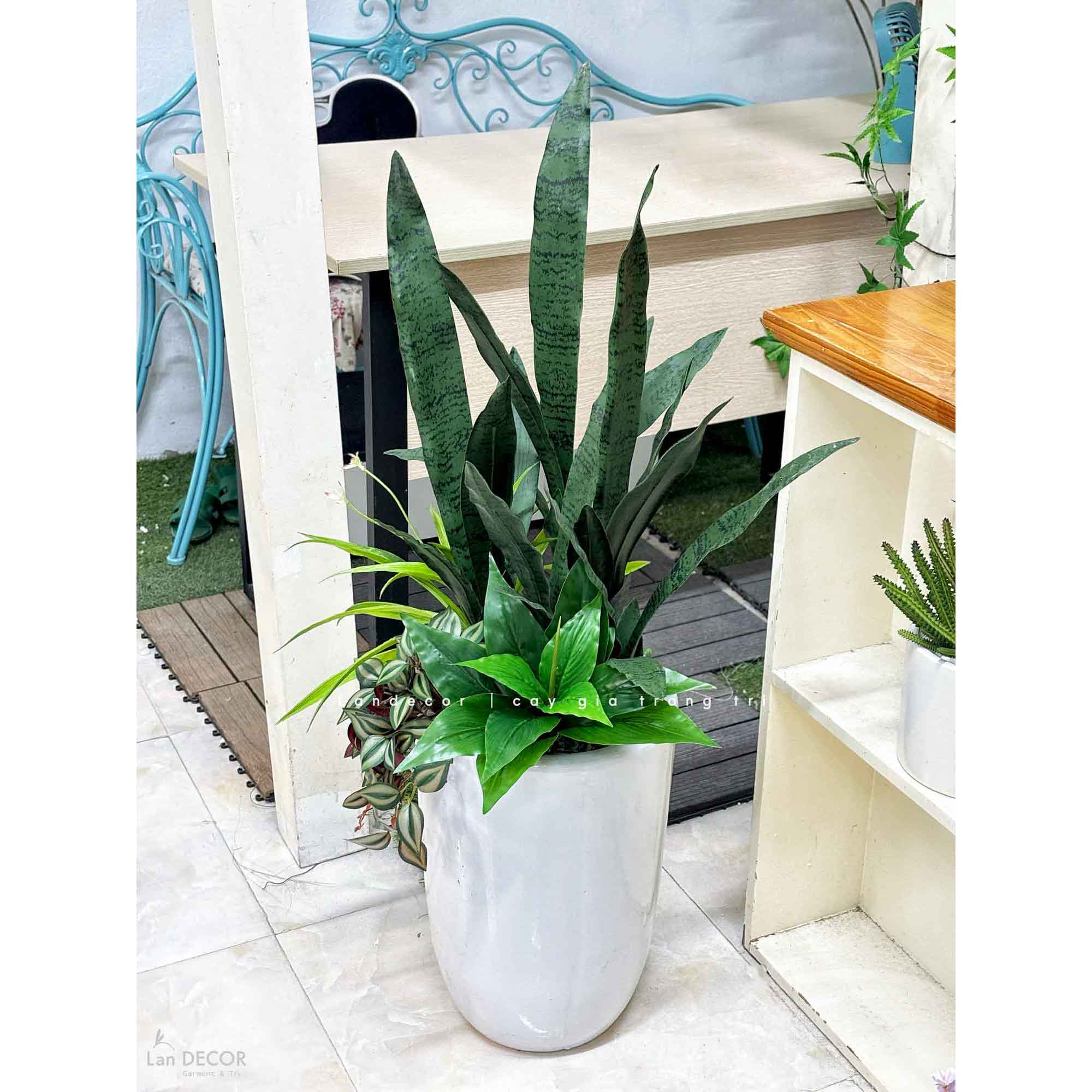 Cây Giả- Cây Lưỡi Hổ Xanh Giả Trang Trí Cửa Hiệu Hiện Đại - CC1494