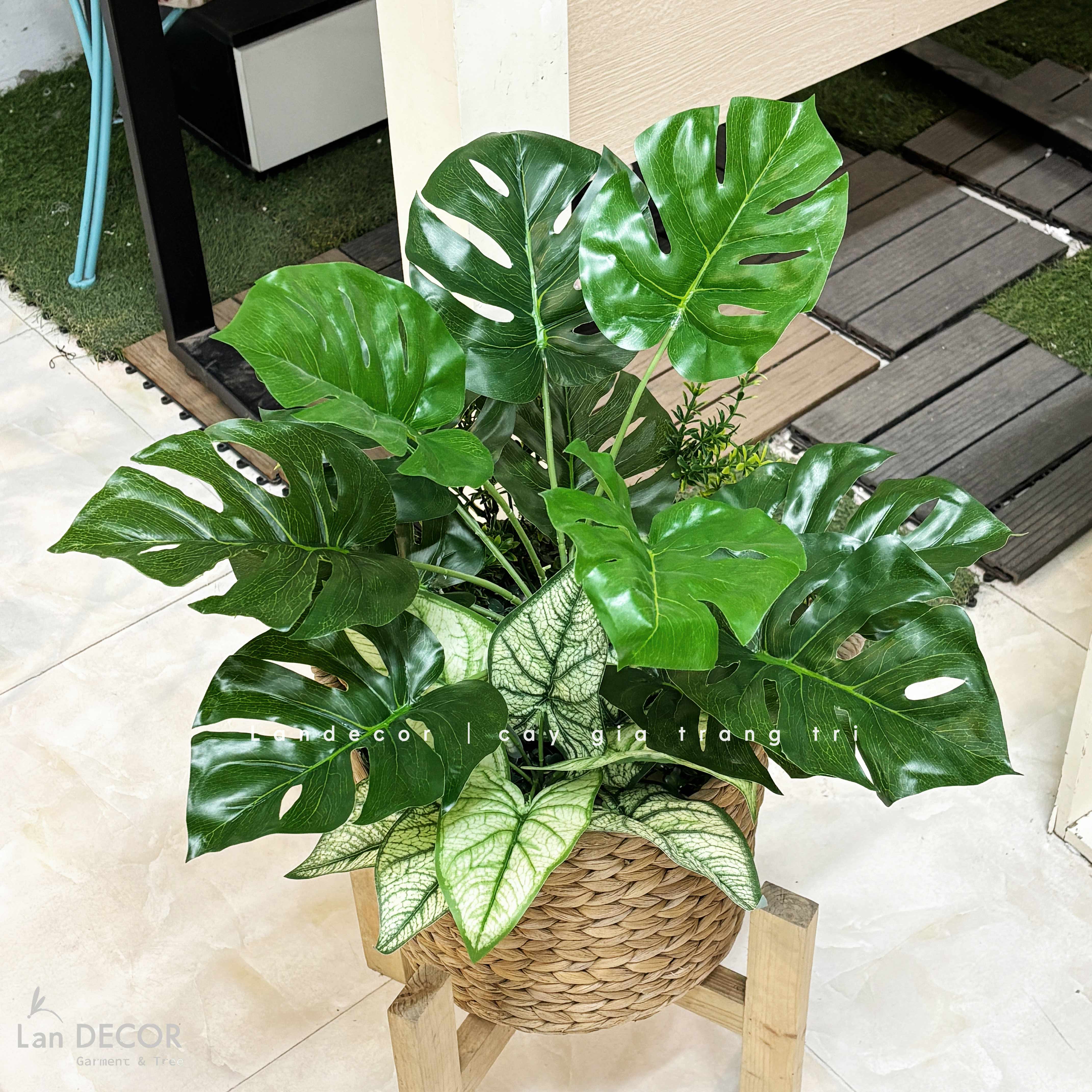 Giỏ Cây Trang Trí - Giỏ Cây Lá Rùa Trang Trí Không Gian (60cm)- CC1350