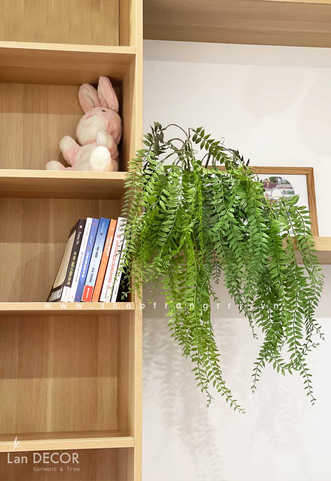 CHẬU DƯƠNG XỈ RỦ - CC660