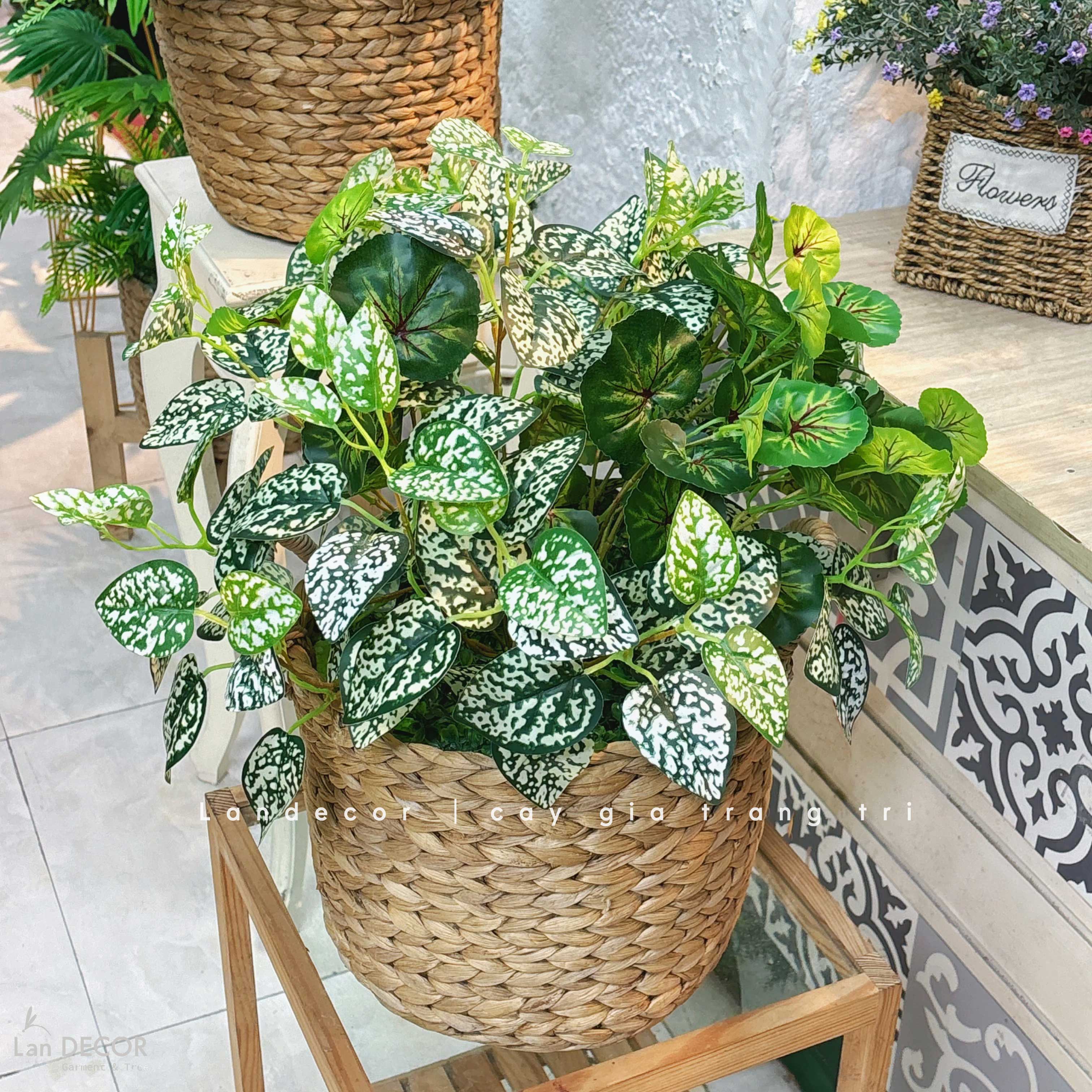 Giỏ Cây Giả - Giỏ Lá Đốm Trắng Trang Trí Tạo Điểm Nhấn Xanh (50cm)- CC1345