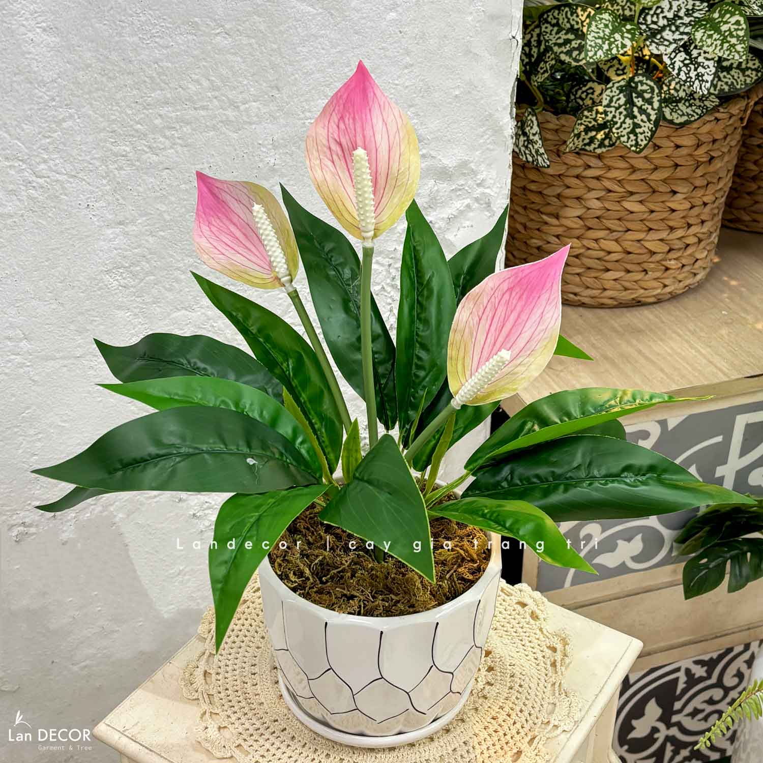 Cây Giả Trang Trí- Chậu Hoa Lan Ý Giả Trang Trí Phòng Khách (50cm)- CC1475