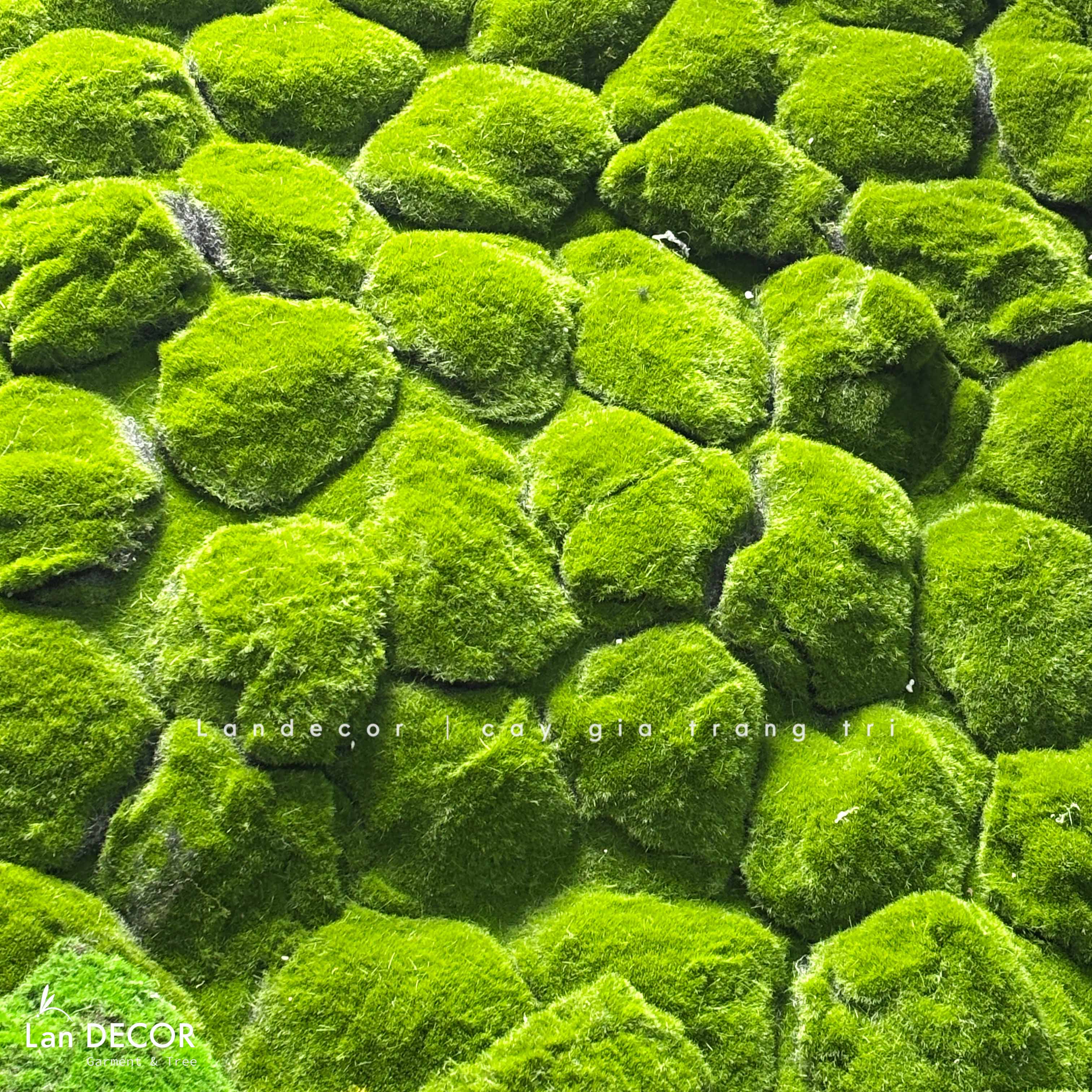 Tấm Thảm Rêu Giả Thiết Kế Tường Rêu, Decor Cửa Hiệu Xanh (100x100cm)- TR004