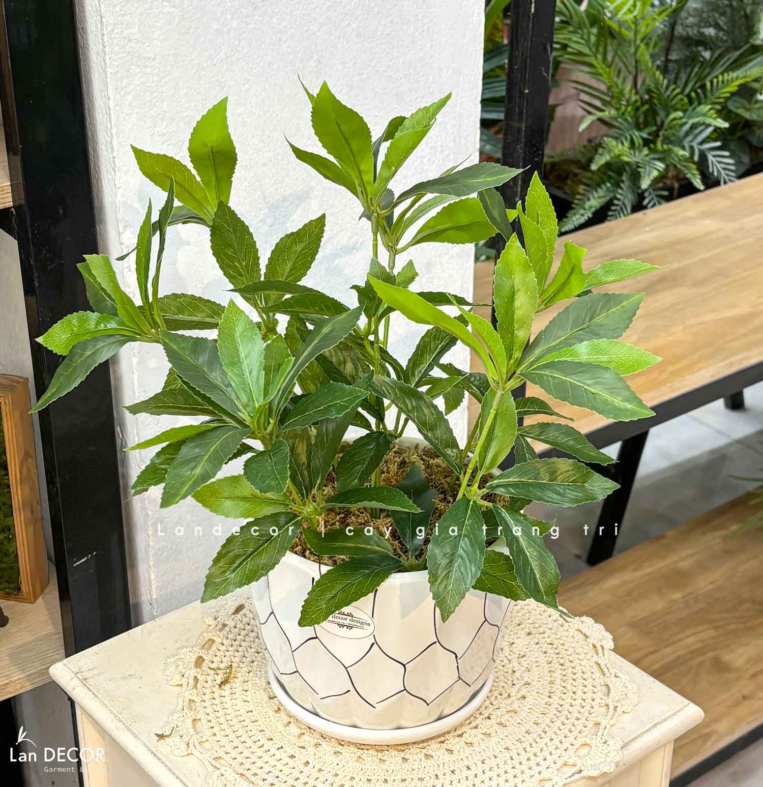 Cây Giả Để Bàn - Cây Kim Ngân Lượng Giả Trang Trí Để Bàn Thu Hút (45cm) - CC1501