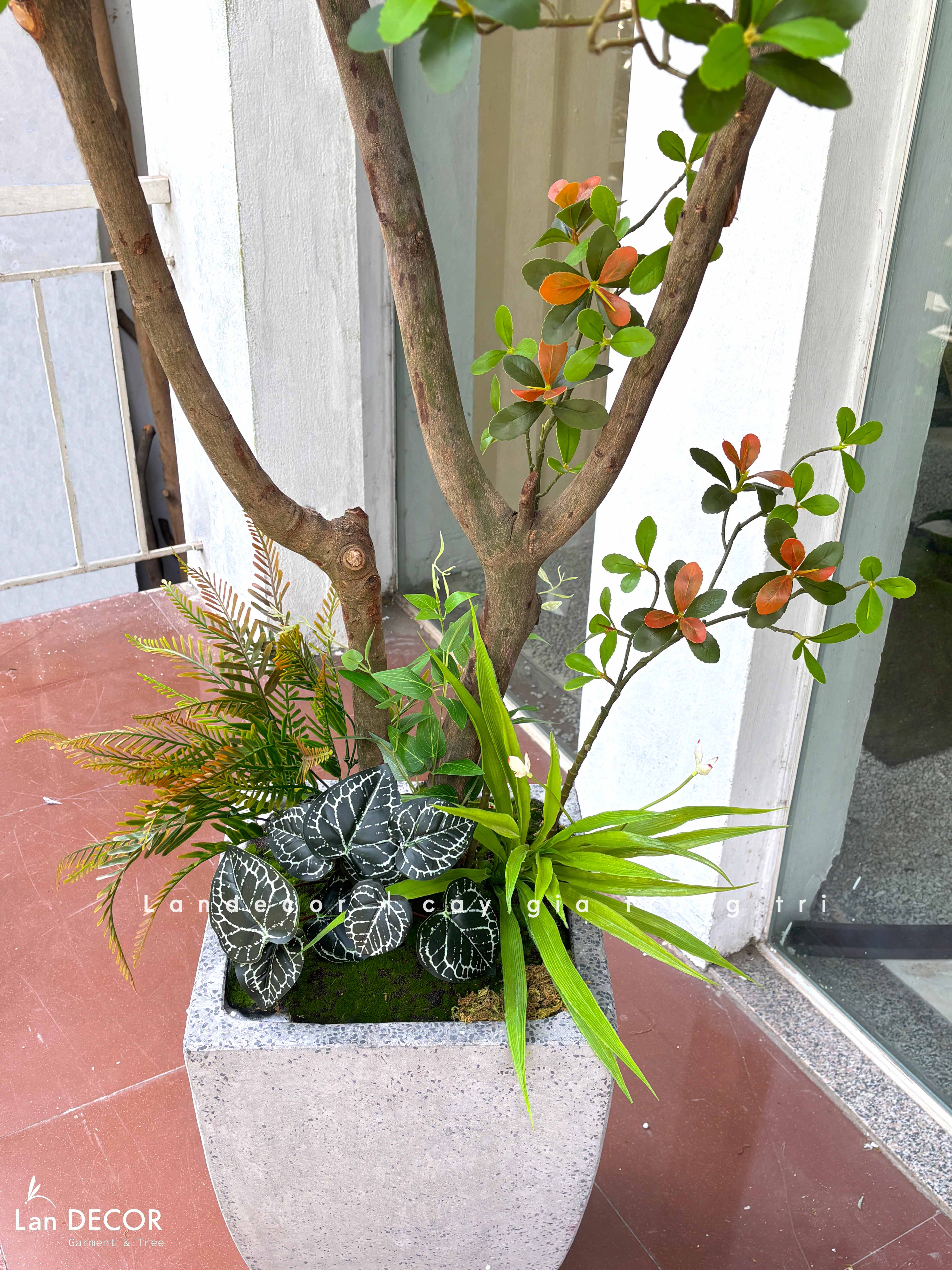 Cây Giả- Cây Lá Đỏ Giả Thiết Kế Tiểu Cảnh Độc Đáo, Trưng Bày Không Gian Mới Lạ (230cm)- CC1388
