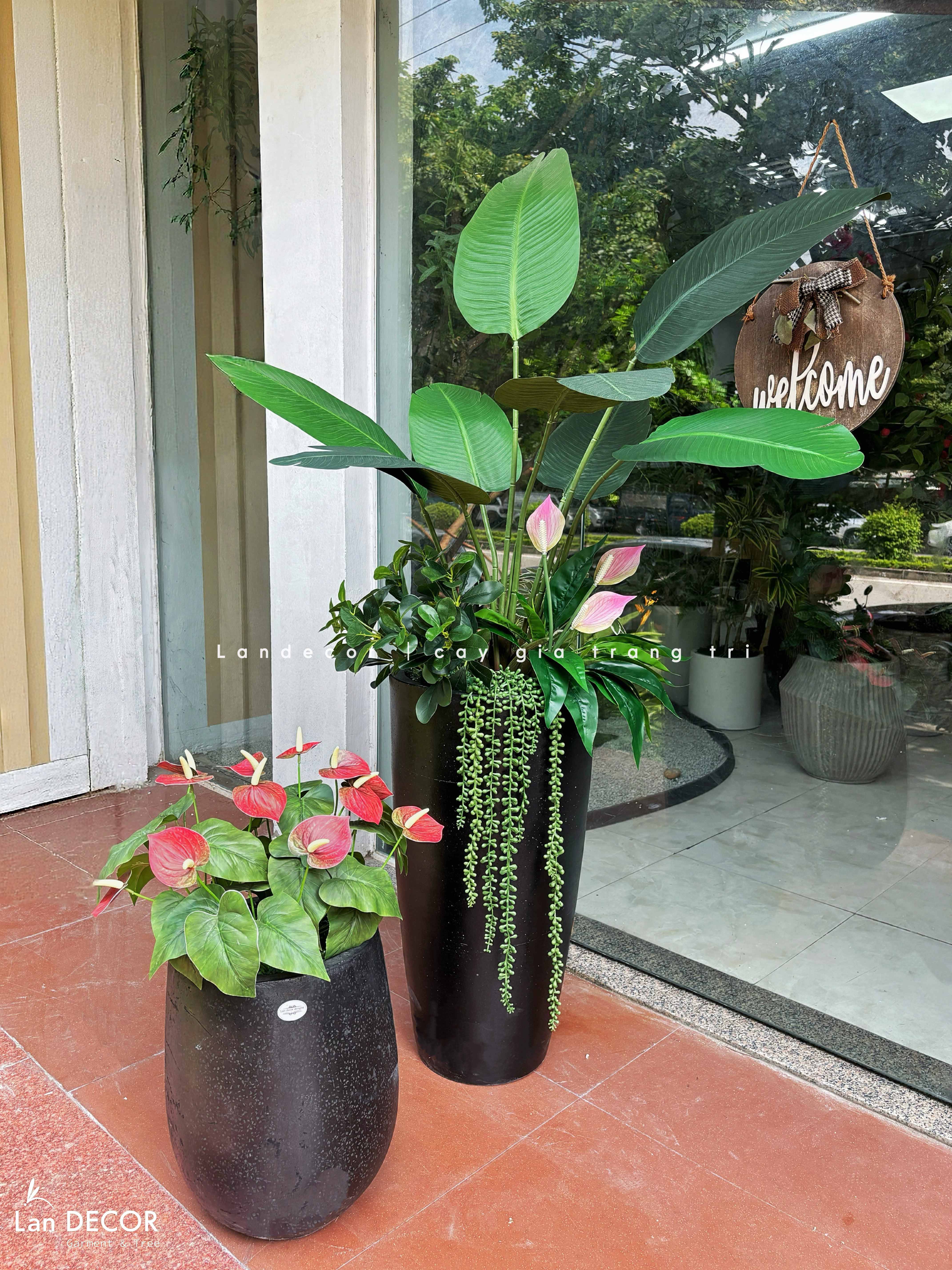 Cây Giả Tiểu Cảnh - Chậu Cây Hồng Môn Giả Decor Không Gian Độc Đáo (70cm)- CC1343