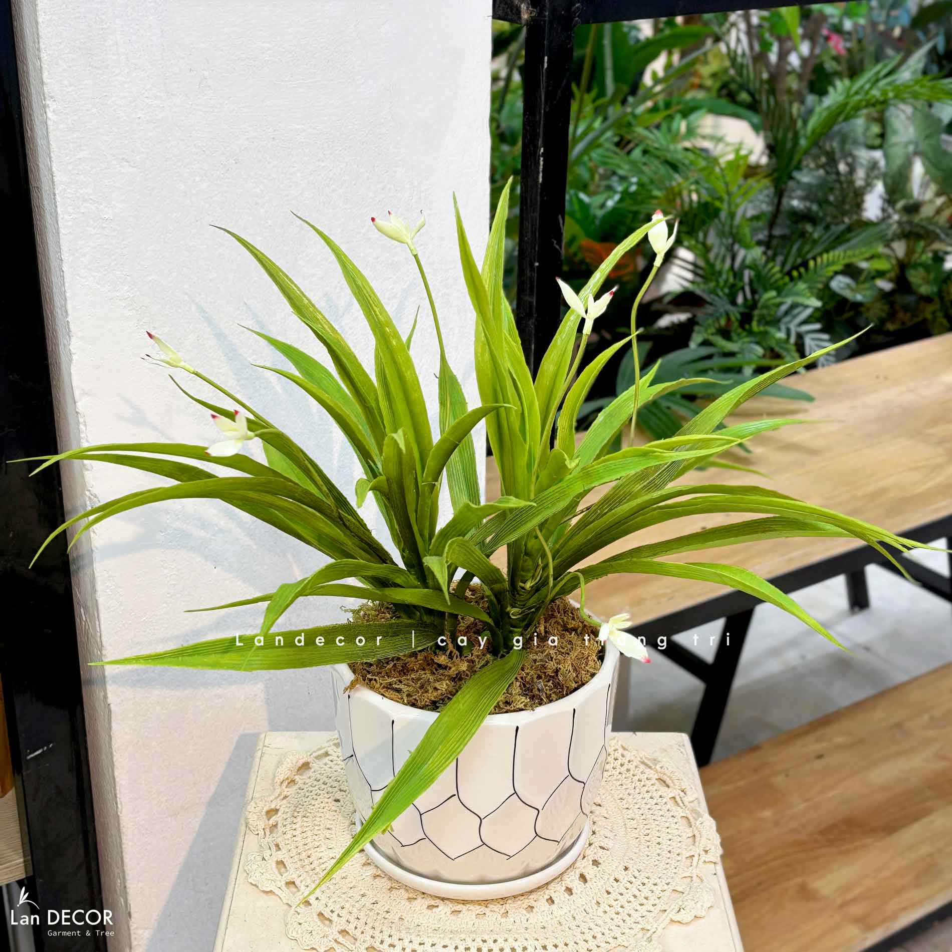 Cây Giả Để Bàn - Chậu Lan Trắng Để Bàn Thiết Kế Lan Decor (45cm) - CC1479