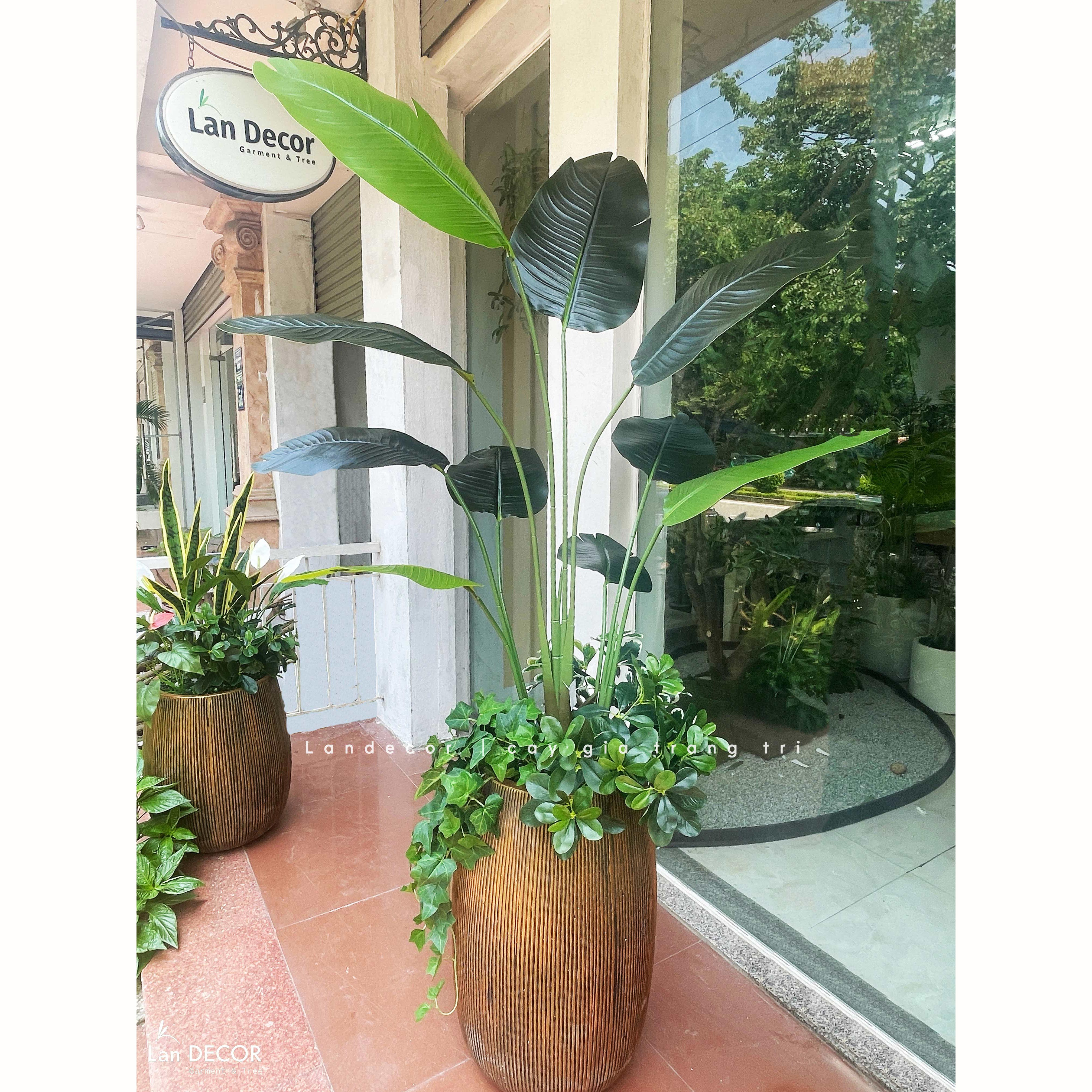 Cây Giả Trang Trí - Chậu Cây Chuối Giả Tiểu Cảnh Trang Trí Xanh Mát (195cm)- CC1342
