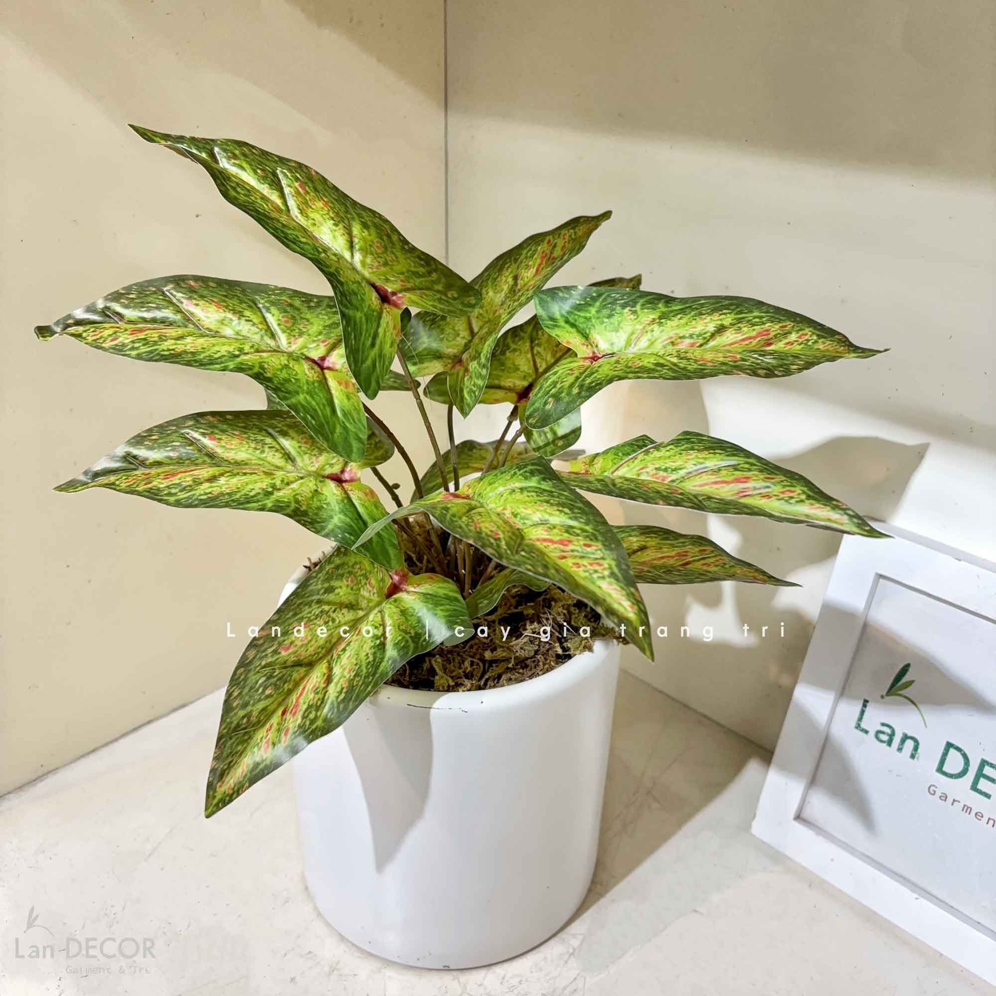 Cây Giả Decor- Chậu Cây Bán Hạ Giả Trang Trí Kệ Tủ Độc Đáo (40cm)-CC1476