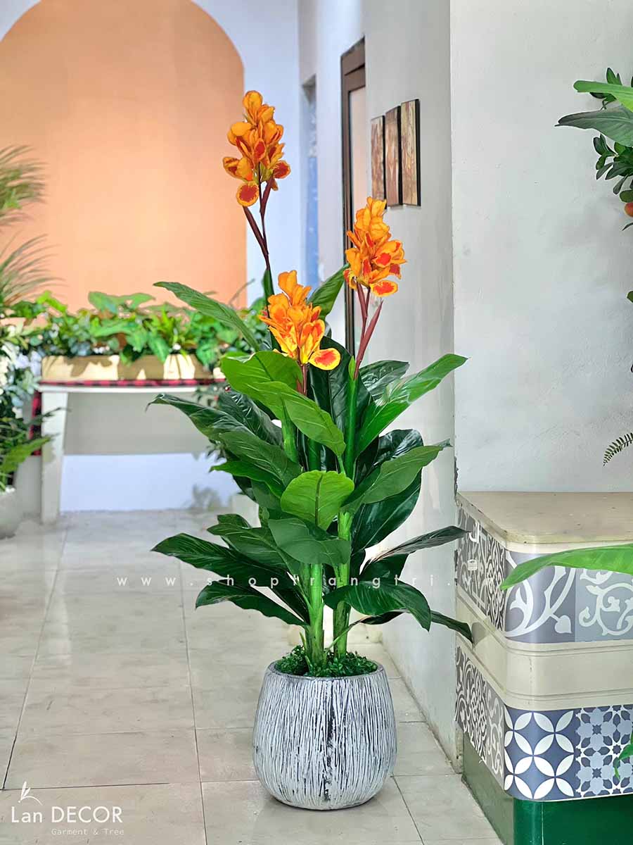 Cây tài lộc hoa trang trí nhà sang trọng 165cm - LC1782